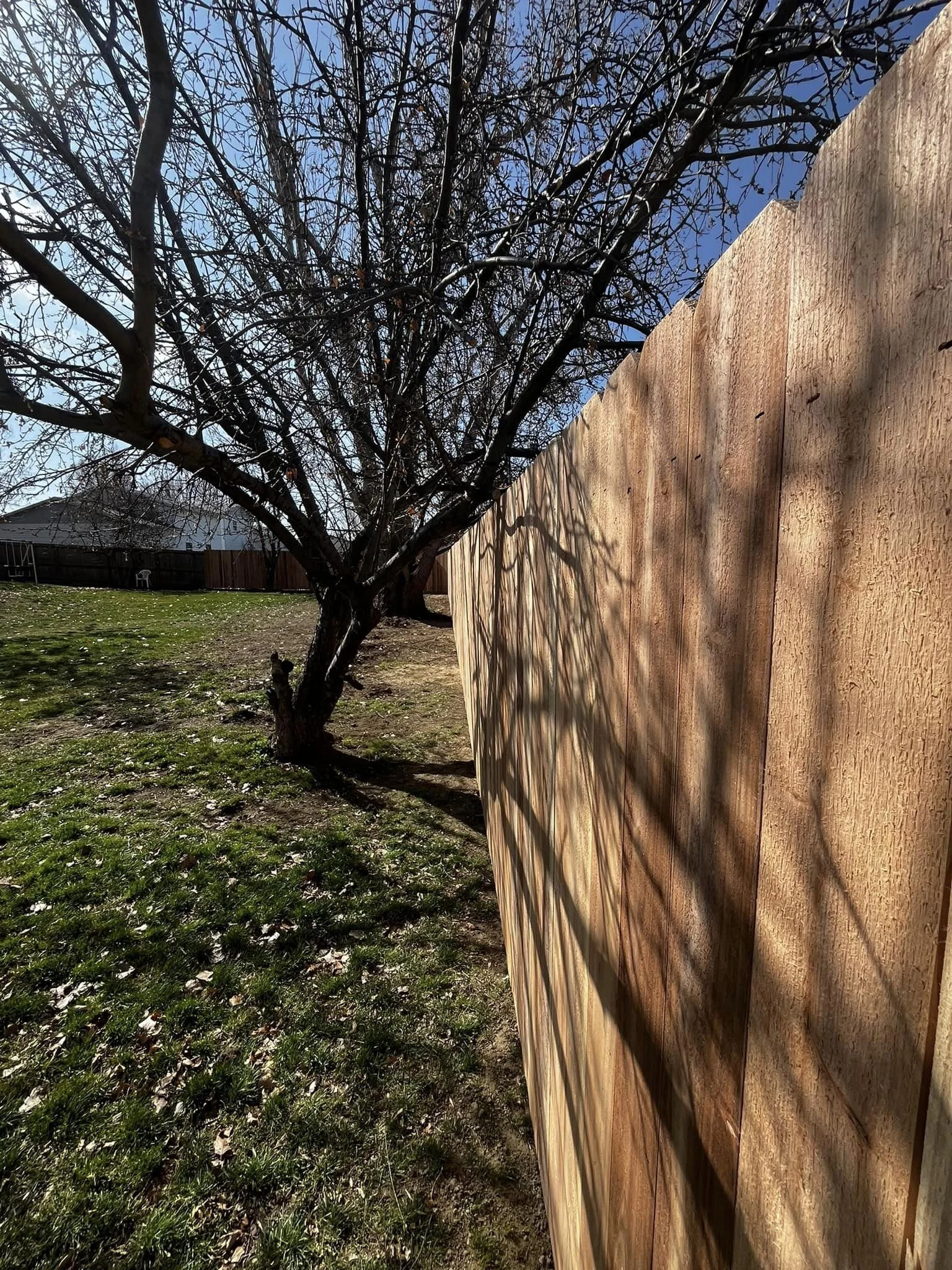 PRIVACY FENCE