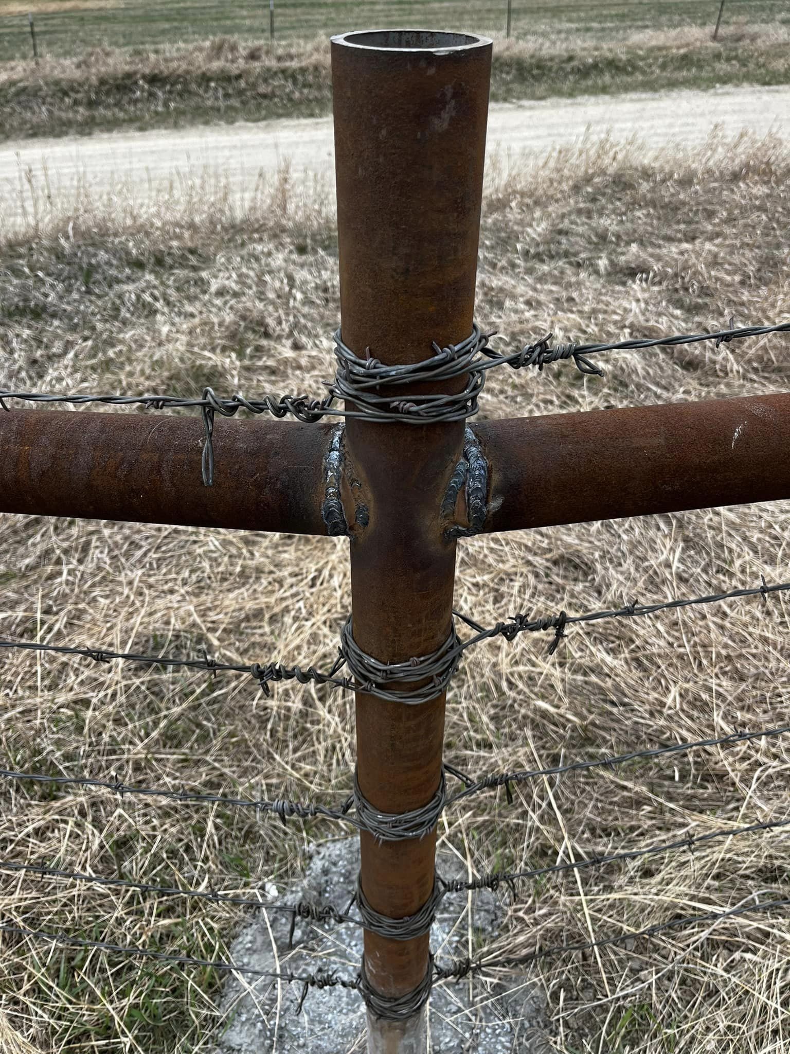 barbed-wire-9.jpg