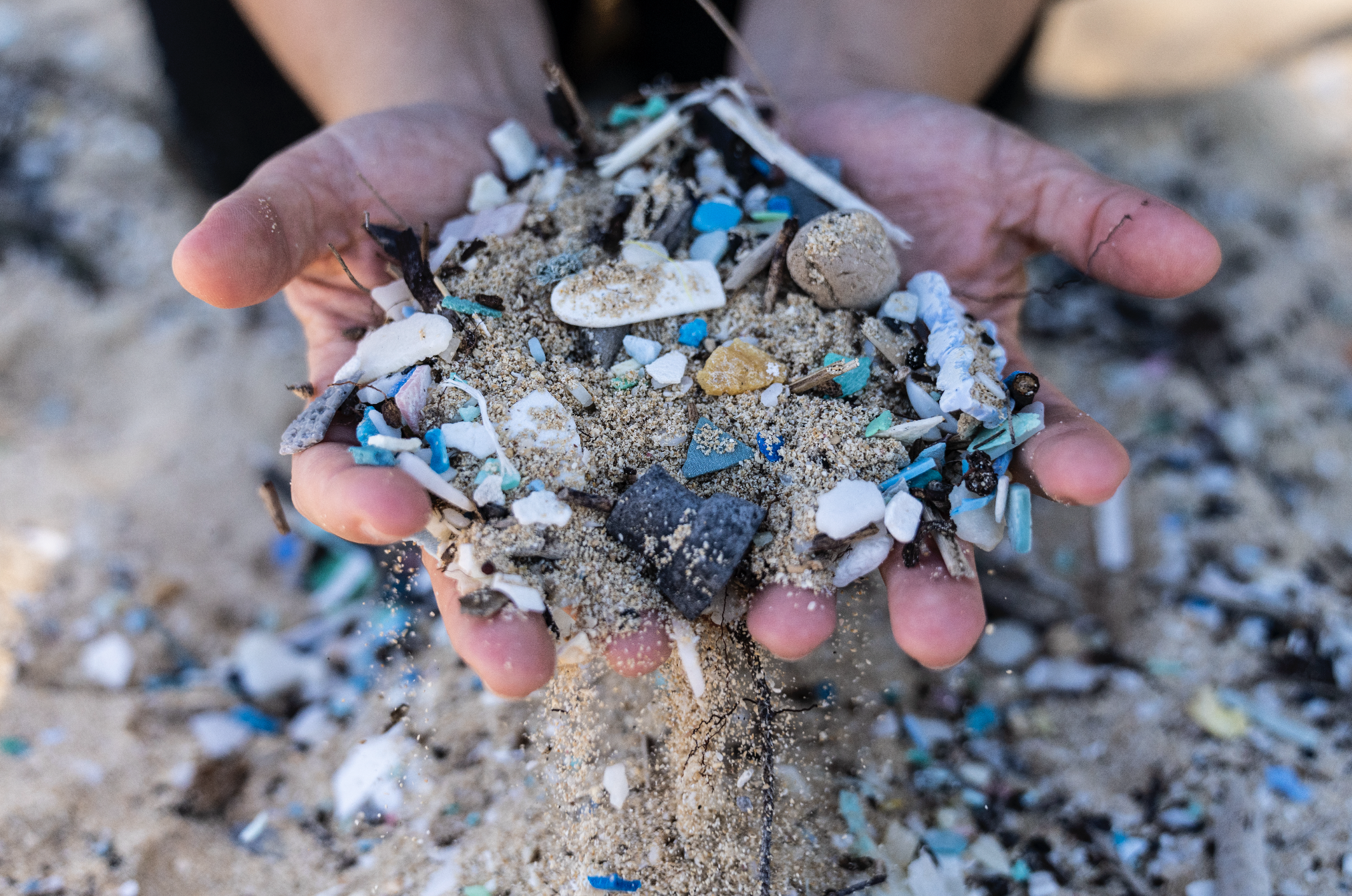 Sustainable Packaging and Shipping Solutions