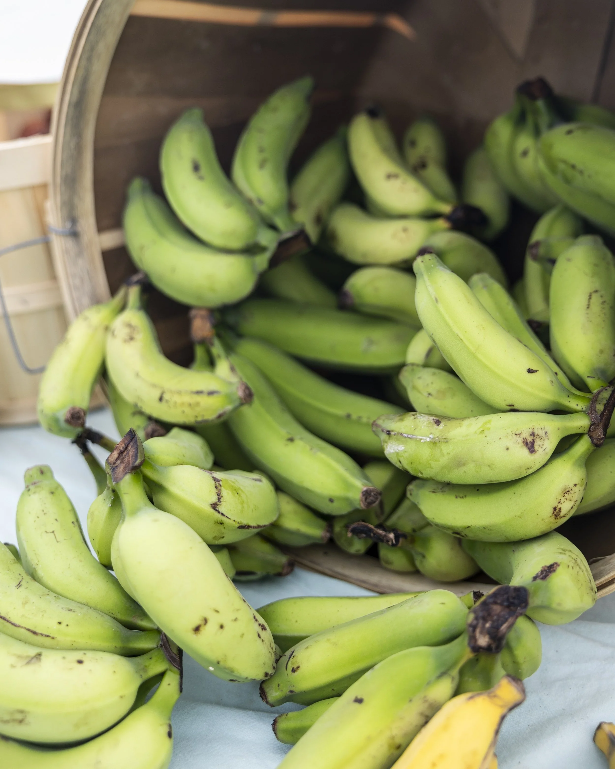 Abl-Collective-Farmers-market-organic-local-hawaii-08.jpg
