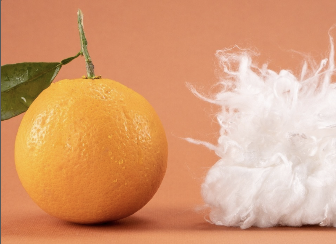 Sustainable Innovation forms fruit-based Textiles