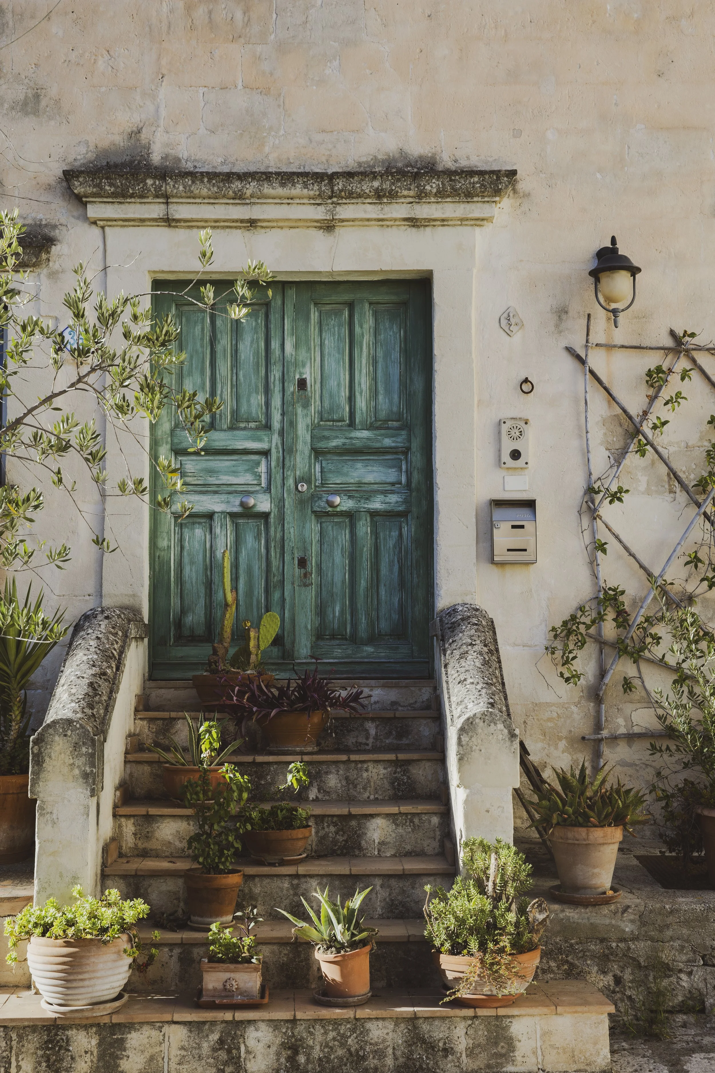 green door with plants and steps