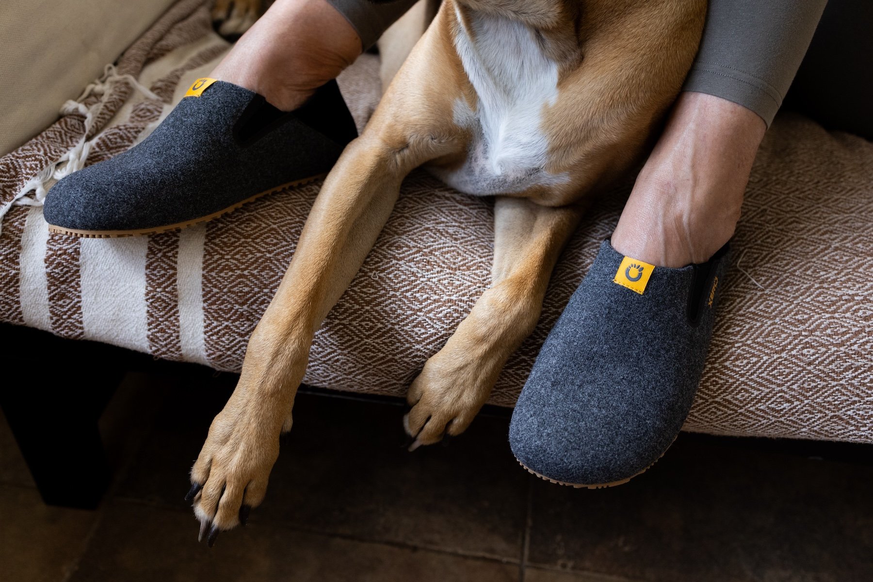Strategic-content-marketing-Xero-shoes-slippers-dog.jpg