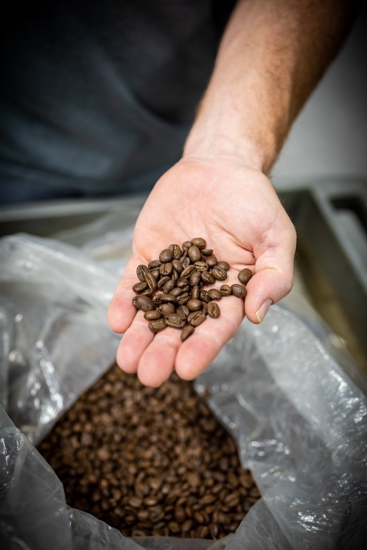 Strategic-content-marketing-kailua-town-coffee-roasters-oahu-15.jpg