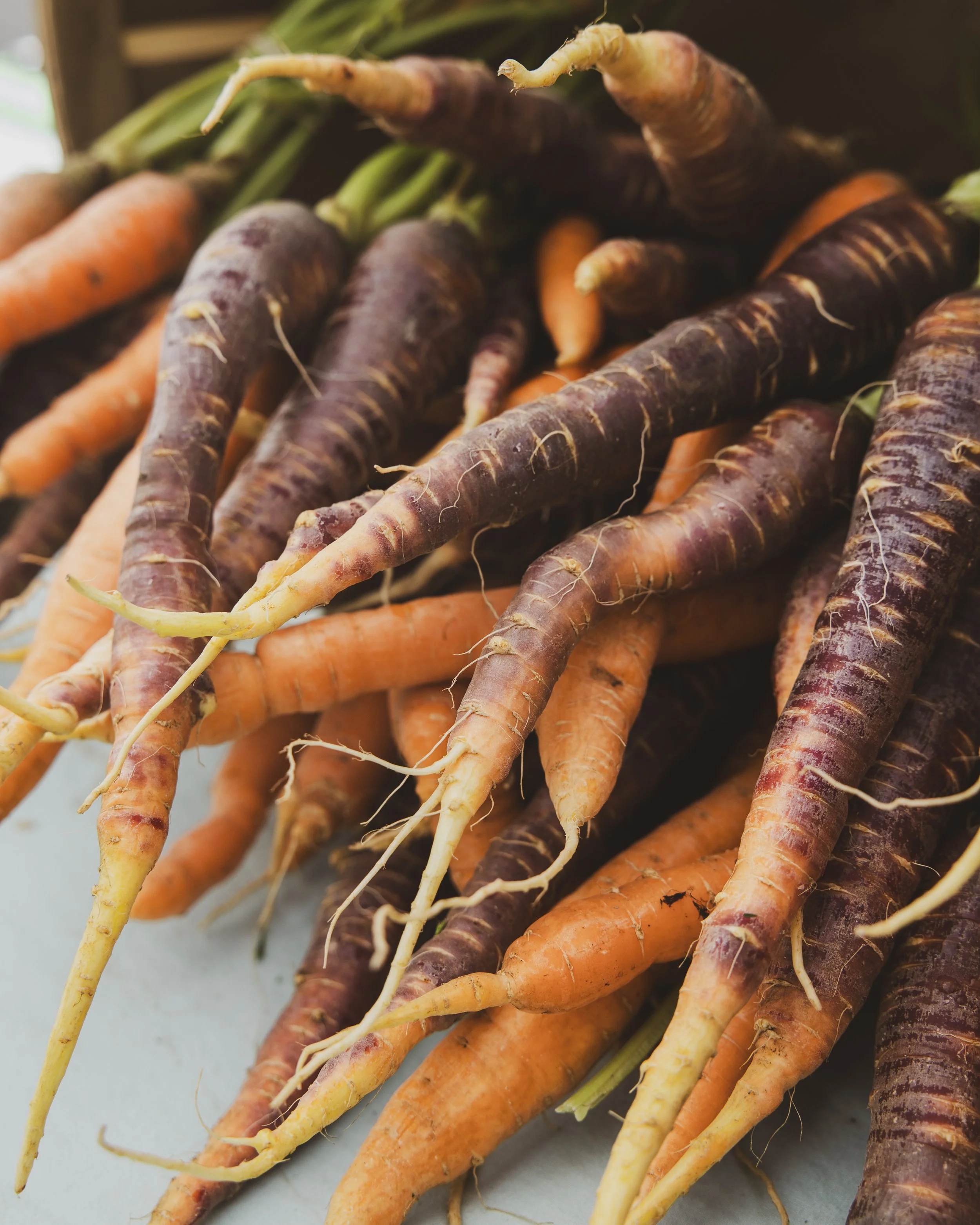 Abl-Collective-Farmers-market-organic-local-hawaii-03.jpg