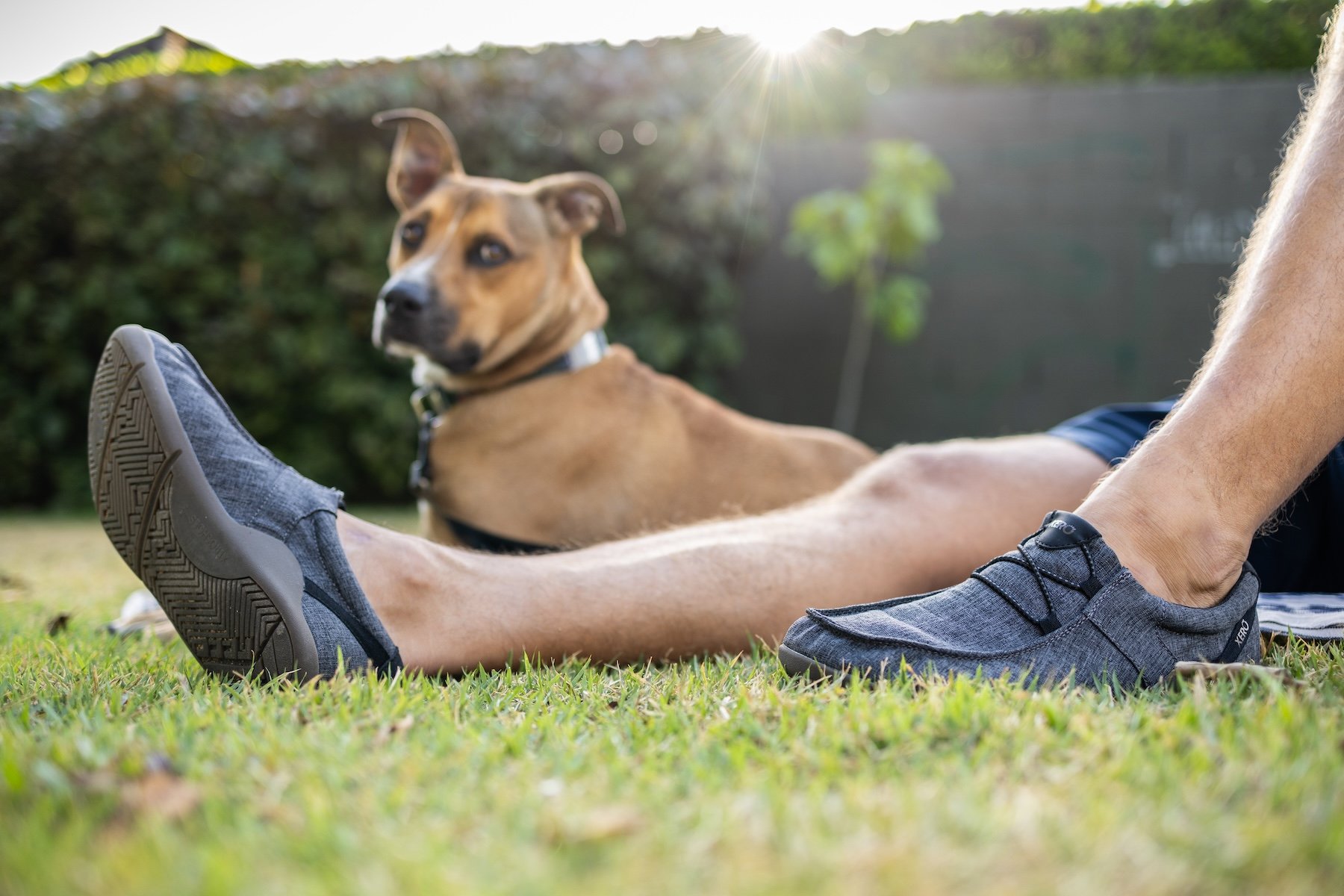 Strategic-content-marketing-Xero-shoes-slip-on-dog-park.jpg