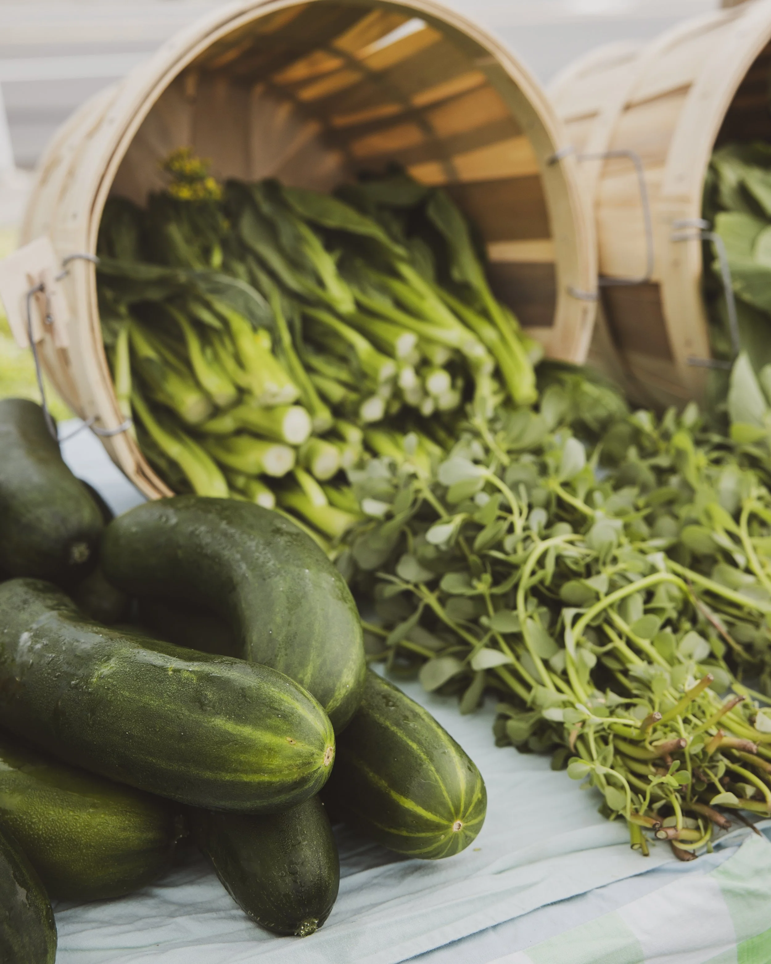 Abl-Collective-Farmers-market-organic-local-hawaii-02.jpg