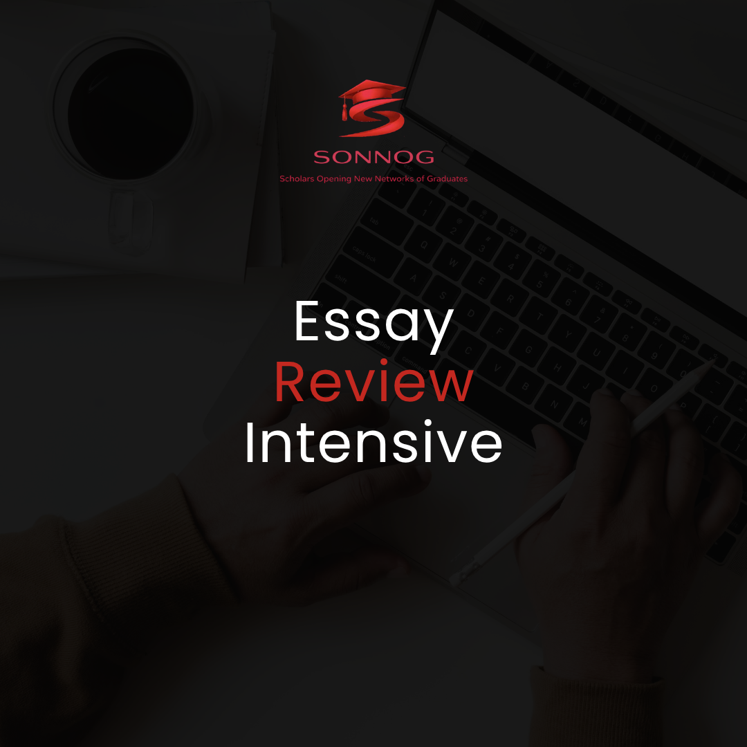 Essay Review Intensive