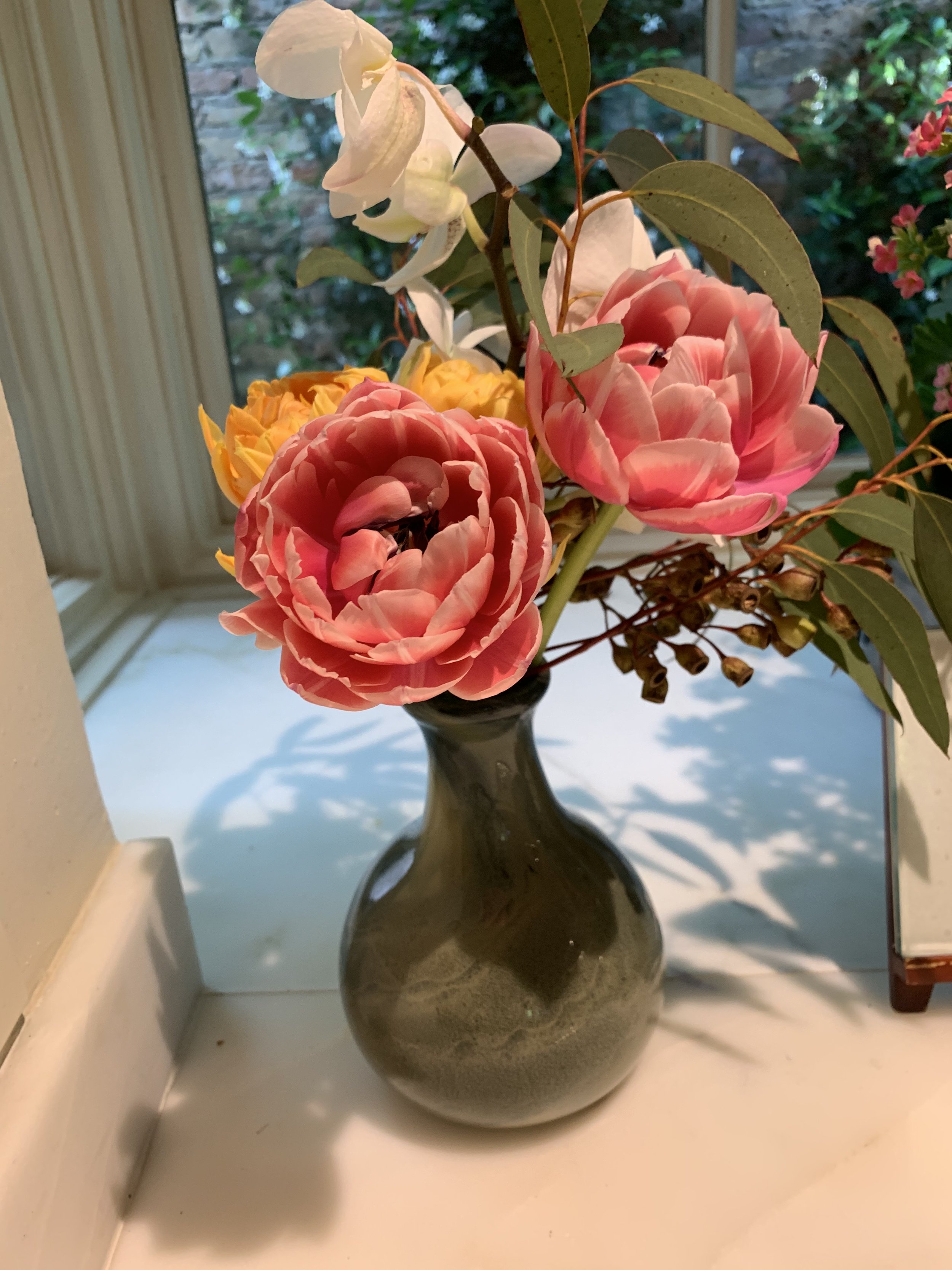 IMG_0926.jpeg