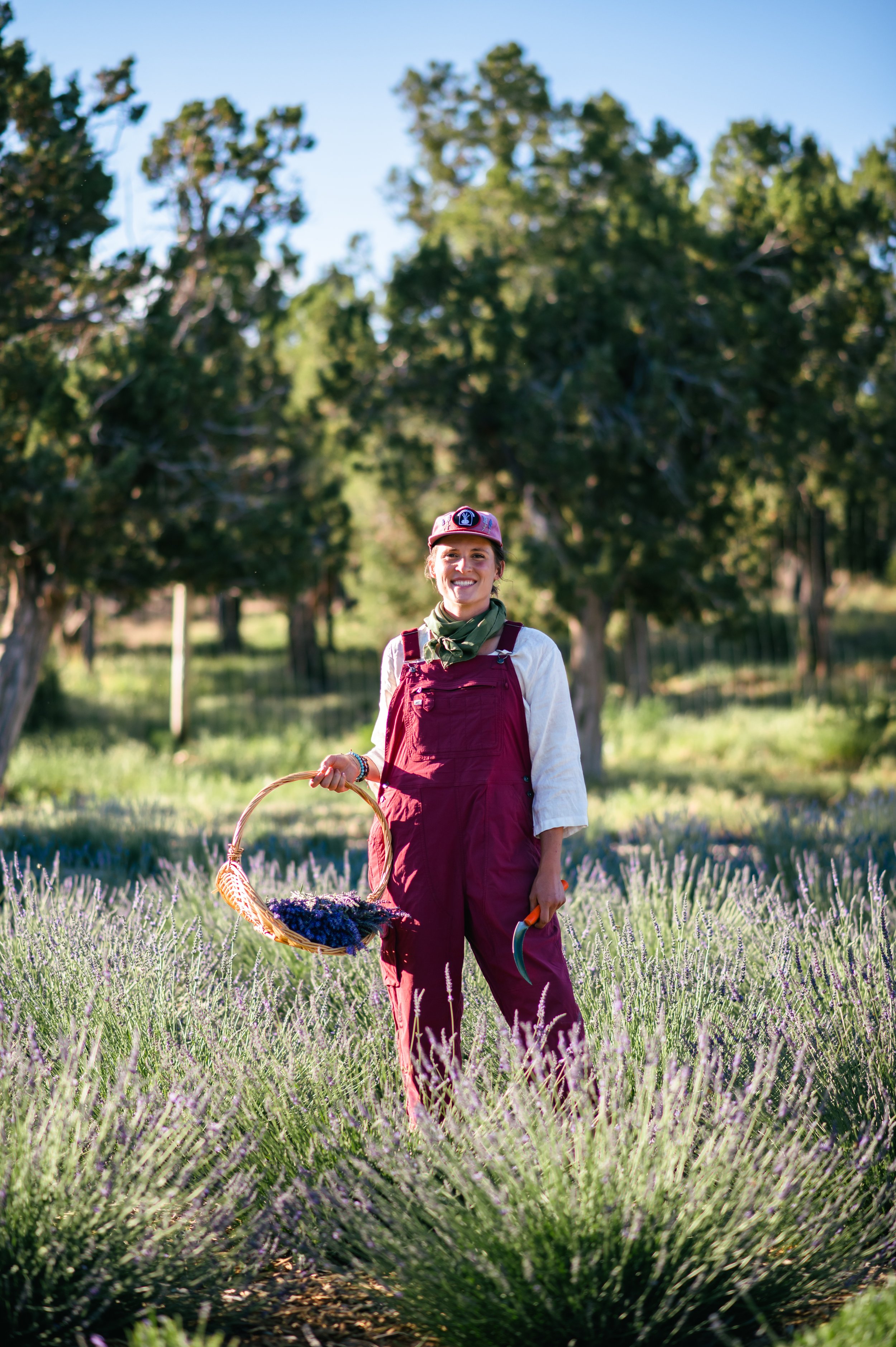 A Garden Elixir: Eight Lavender Health Benefits