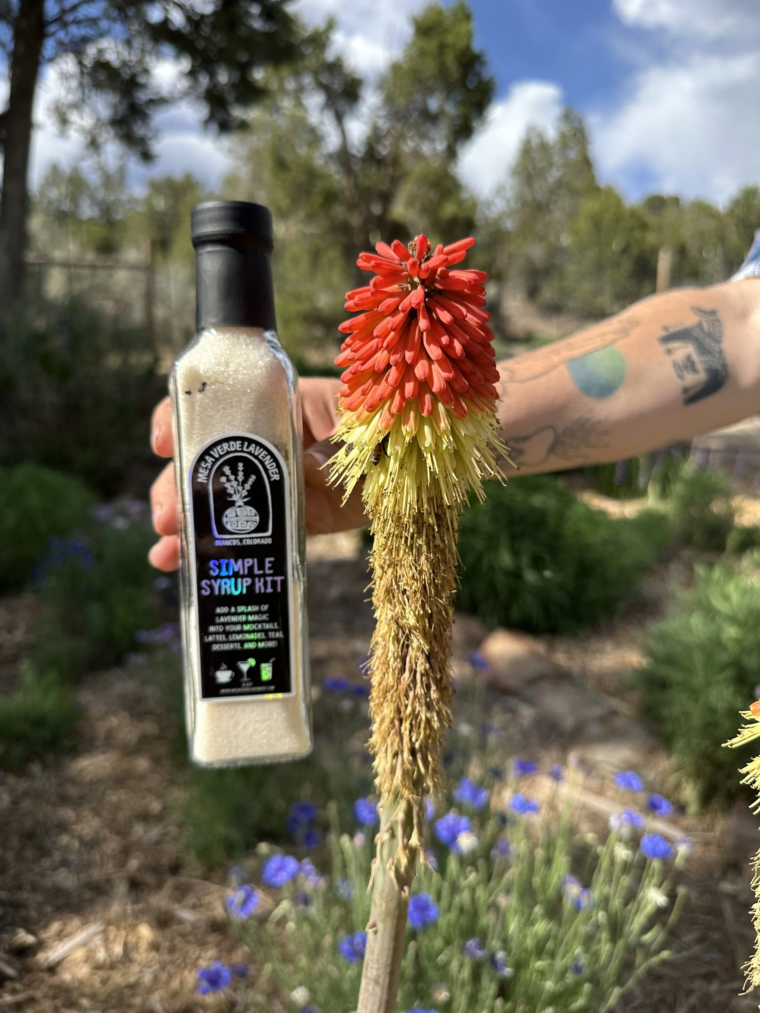Mesa Verde Lavender Simple Syrup DIY Kit