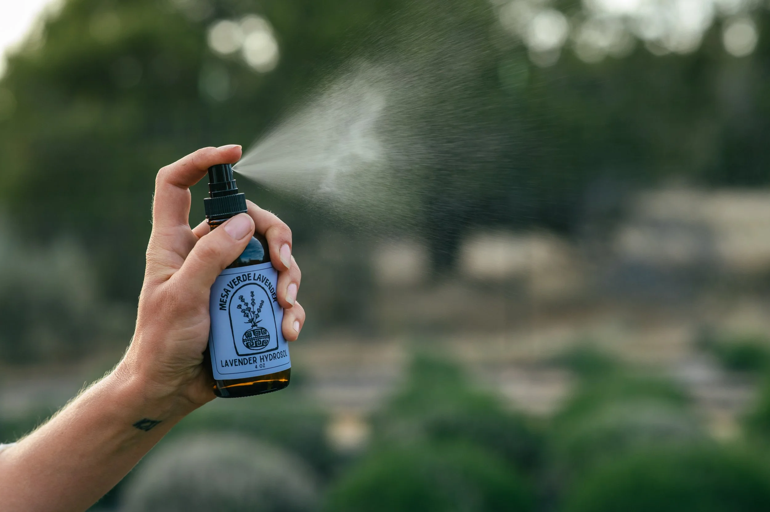 What Is Lavender Hydrosol? 7 Ways We Use It