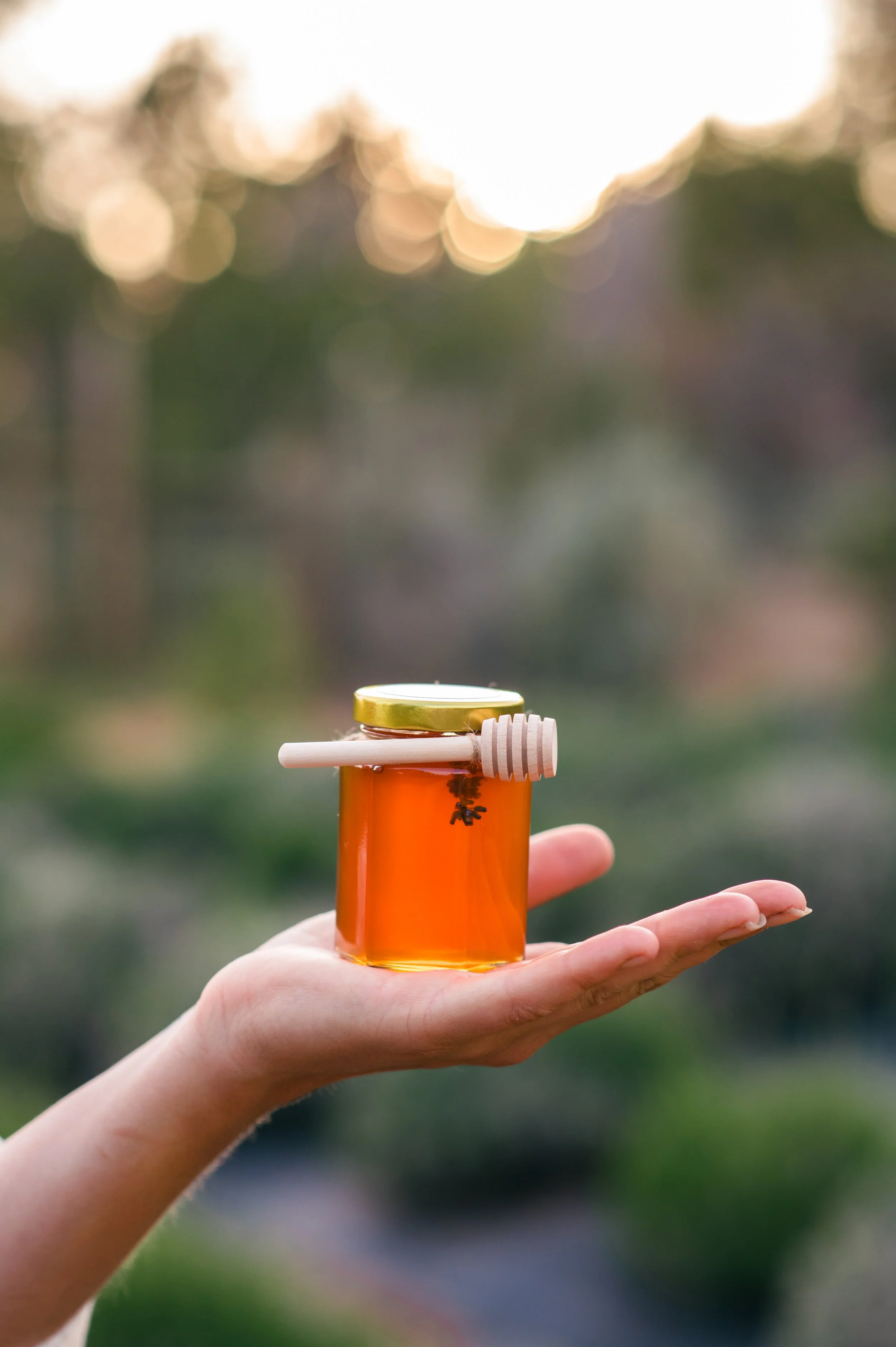 Mesa Verde Lavender Honey
