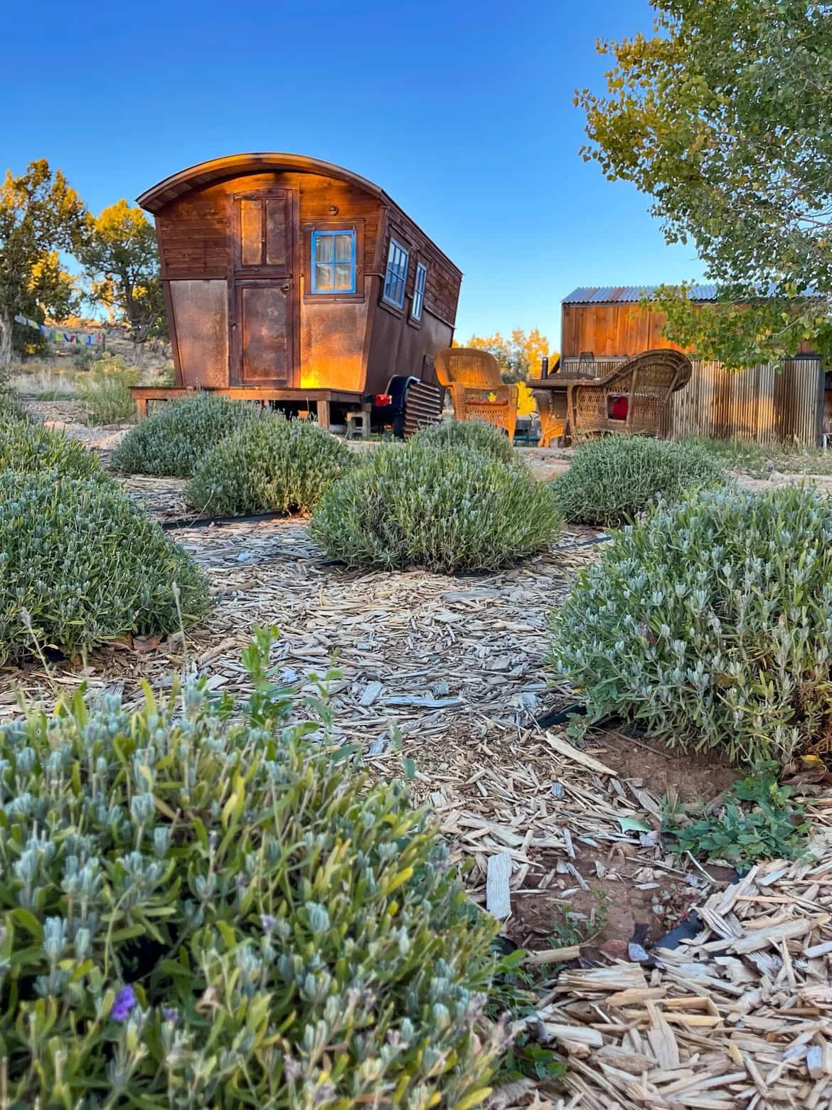 The Lavender Wagon at Mesa Verde Lavender