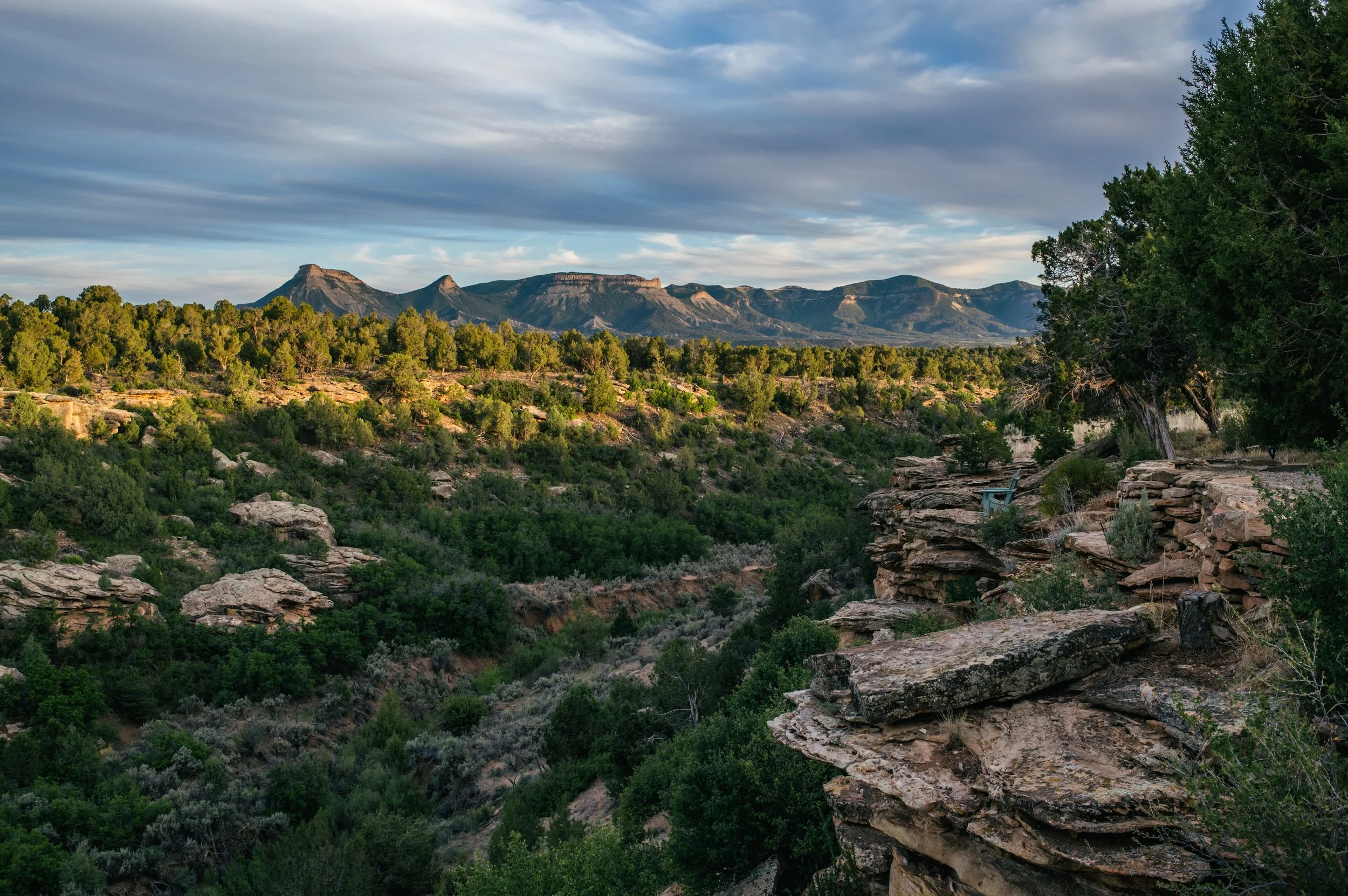 MesaVerdeLavender_June2026_NR_224.jpg