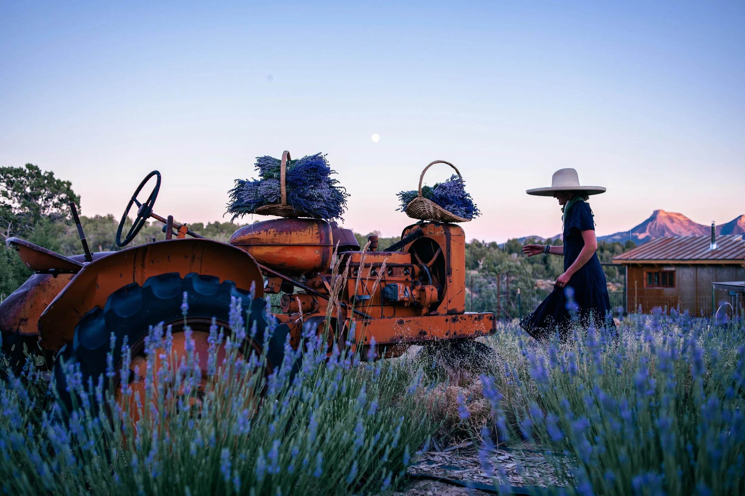 Farm Photo for Banner.jpg
