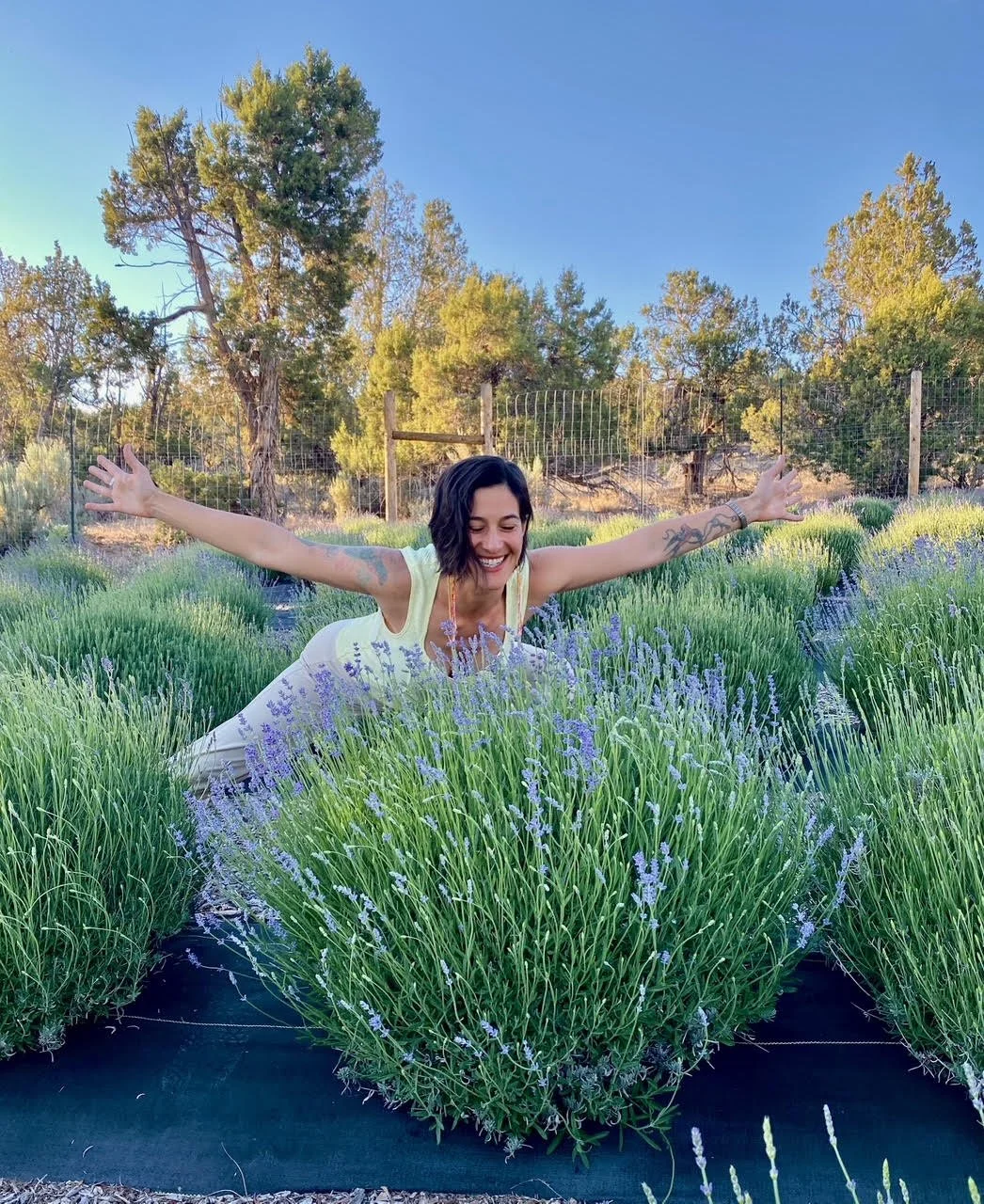 Sunset Lavender Yoga & Breath Flow