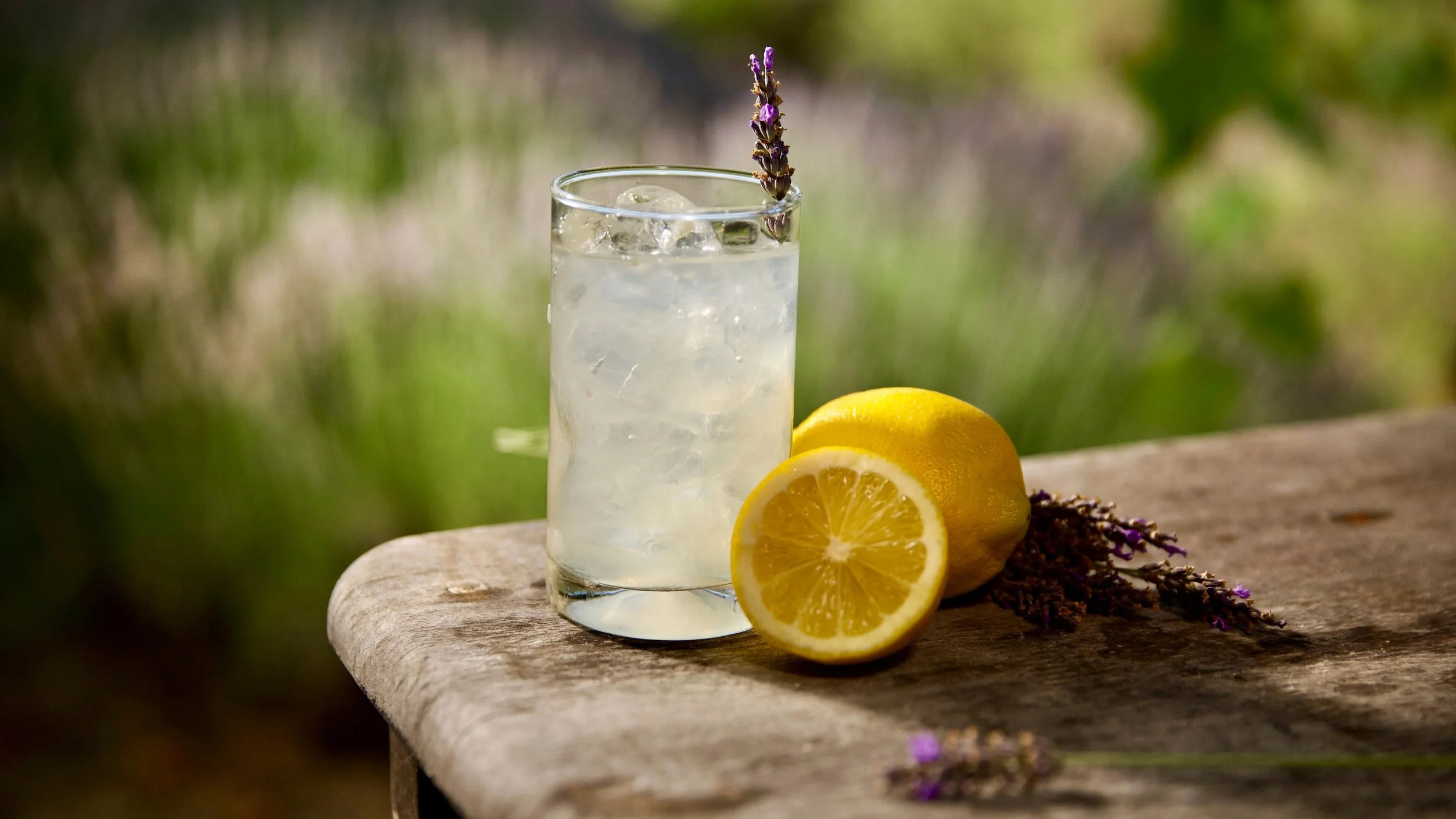 lavender lemonade made with culinary lavender buds