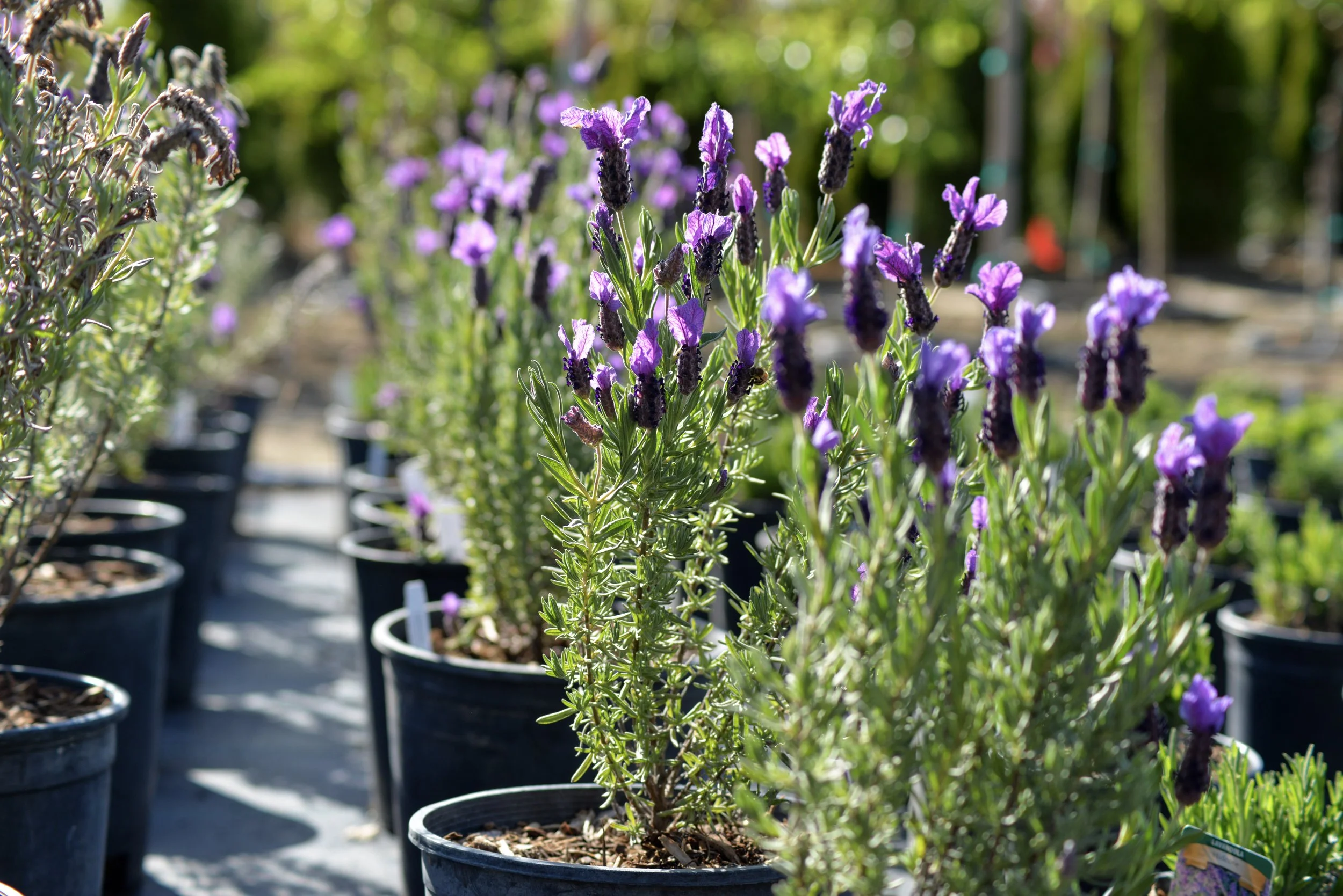 24-DSC_9476.jpg
