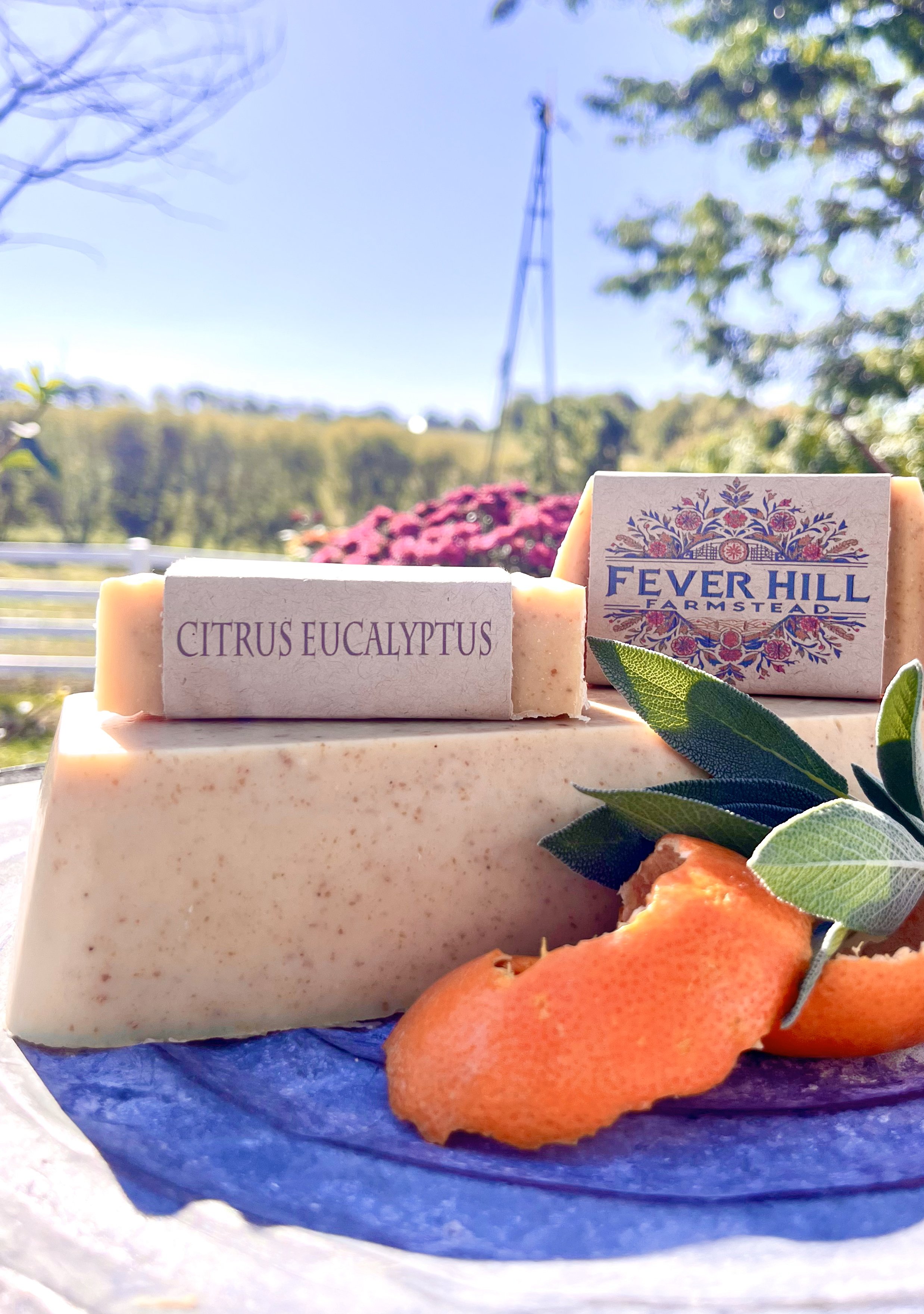 Citrus soap.jpg