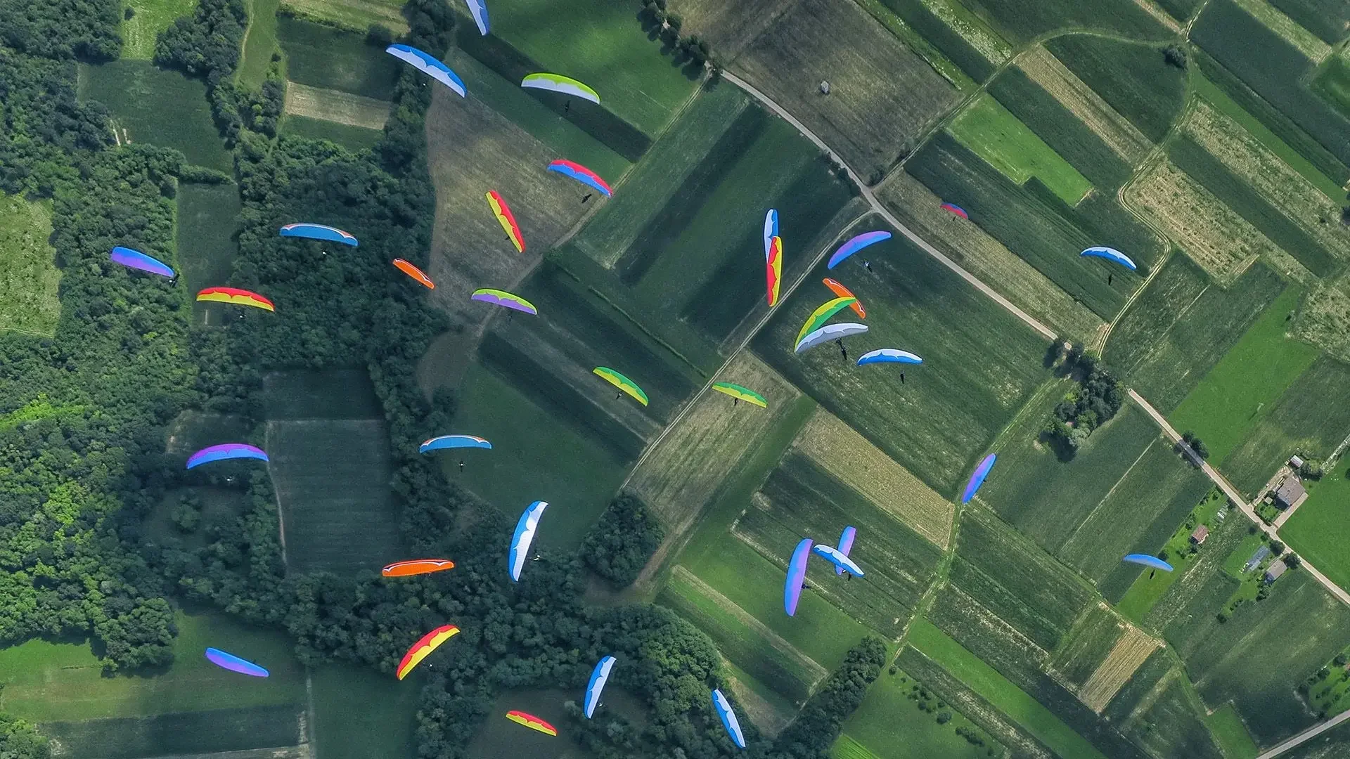 Birds of a feather = SUCCESS