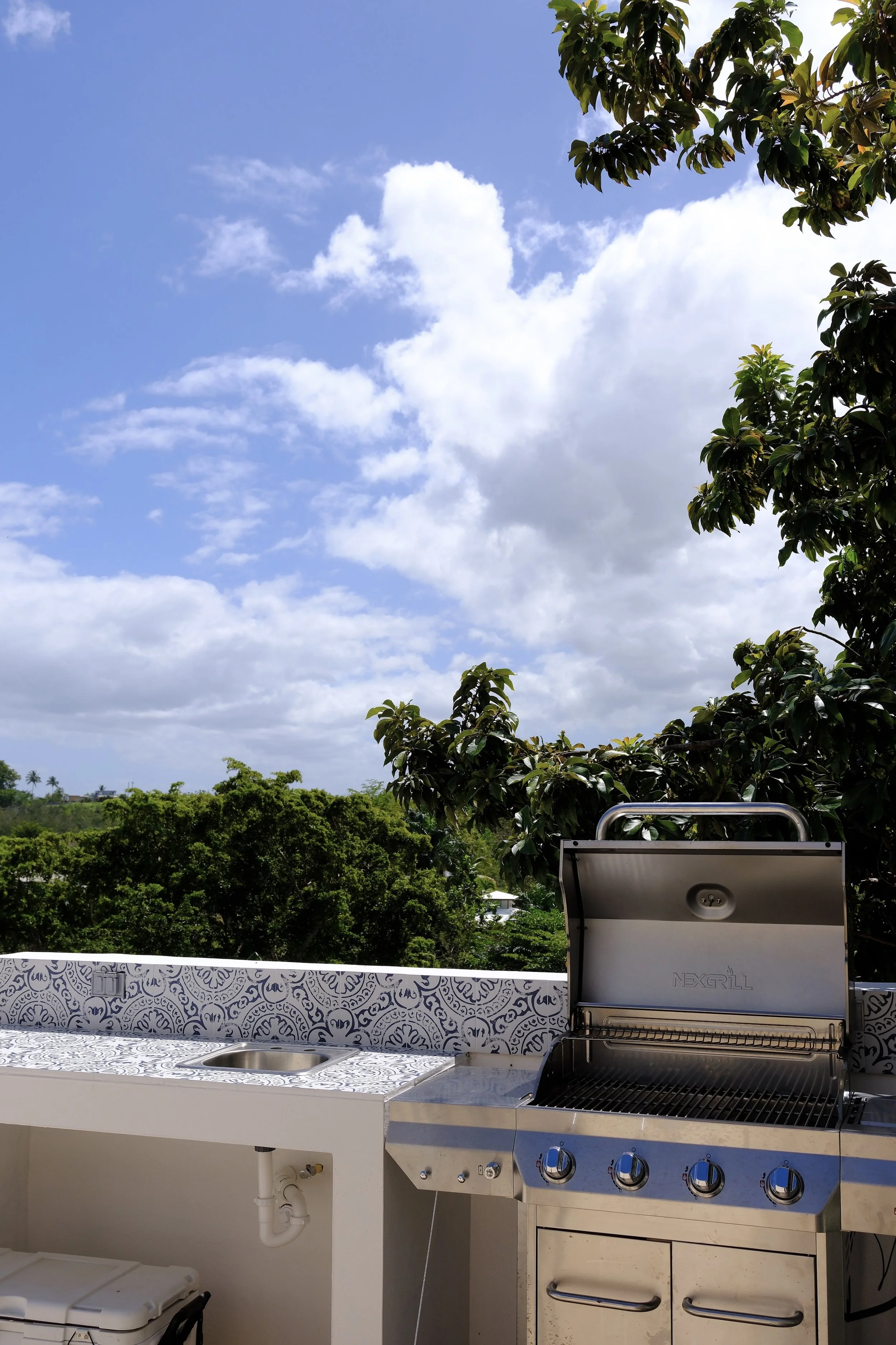 DSCF0376.jpg