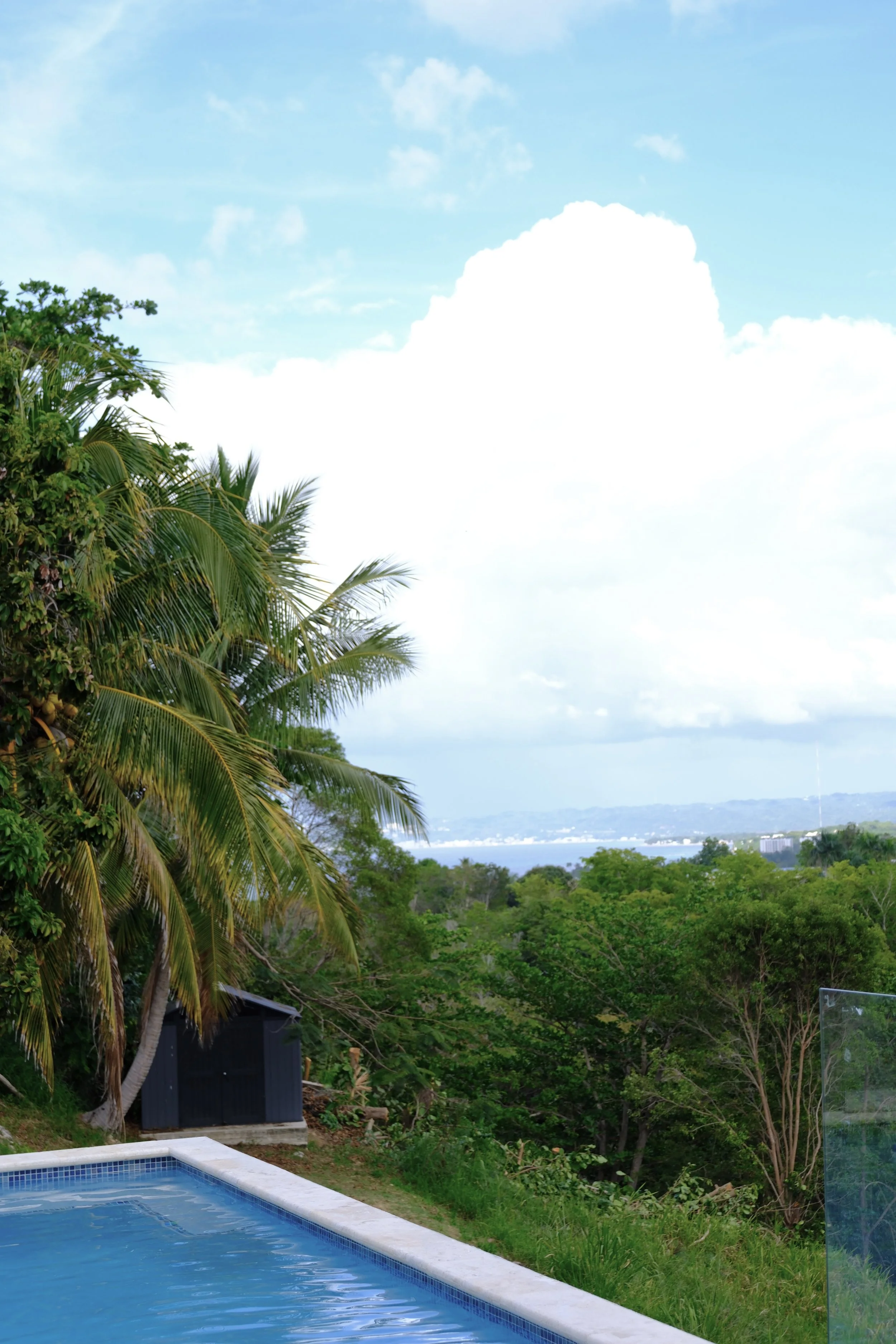 DSCF0493.jpg