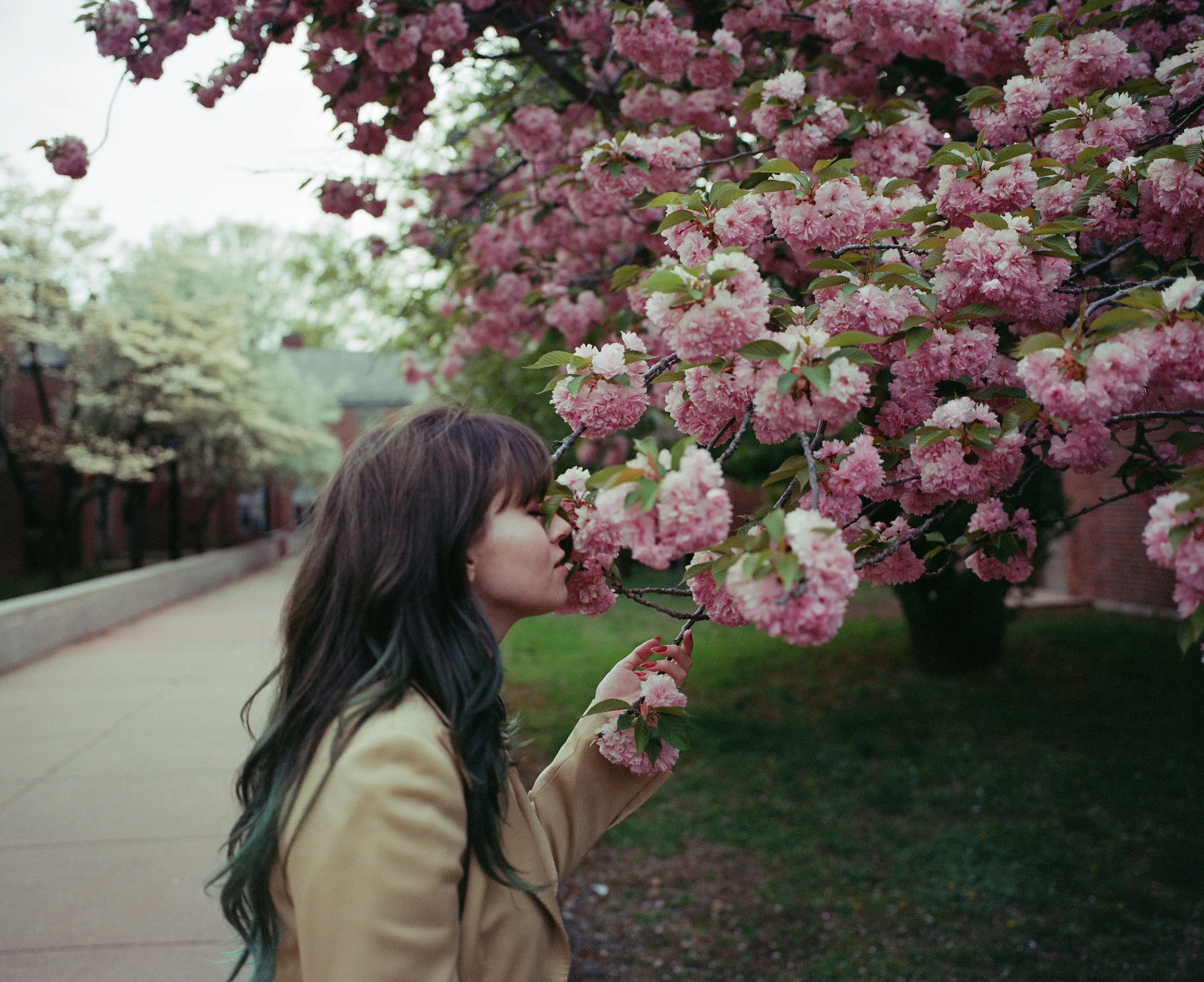 000089510008 copy.jpg