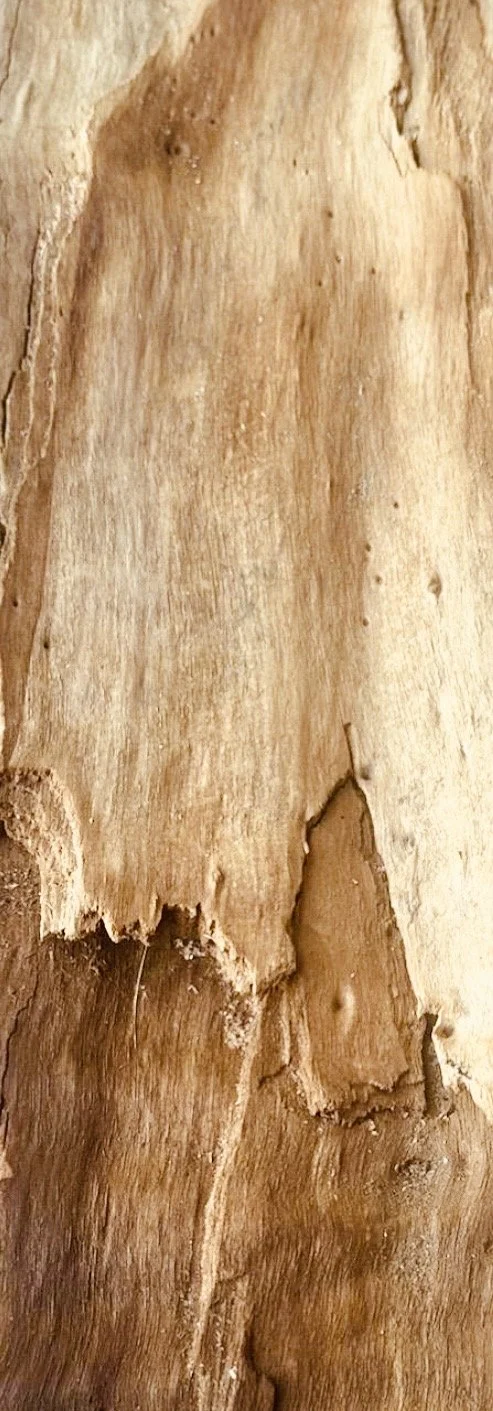 The Difference Between Wanting to Be Close and Being Able to Experience Connection