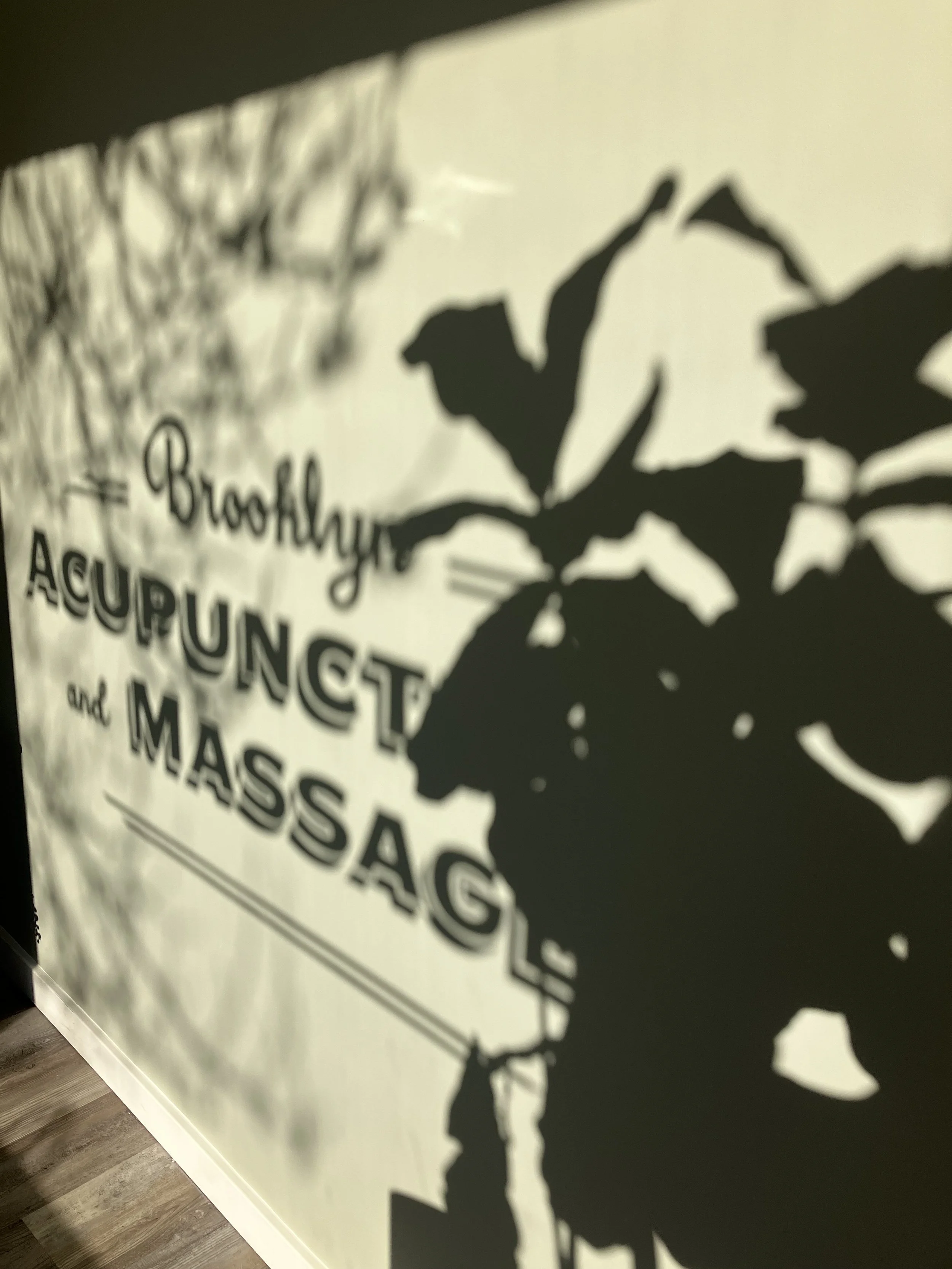 How Acupuncture Works: Science, TCM Channel Theory &amp; Nervous System Benefits in Brooklyn