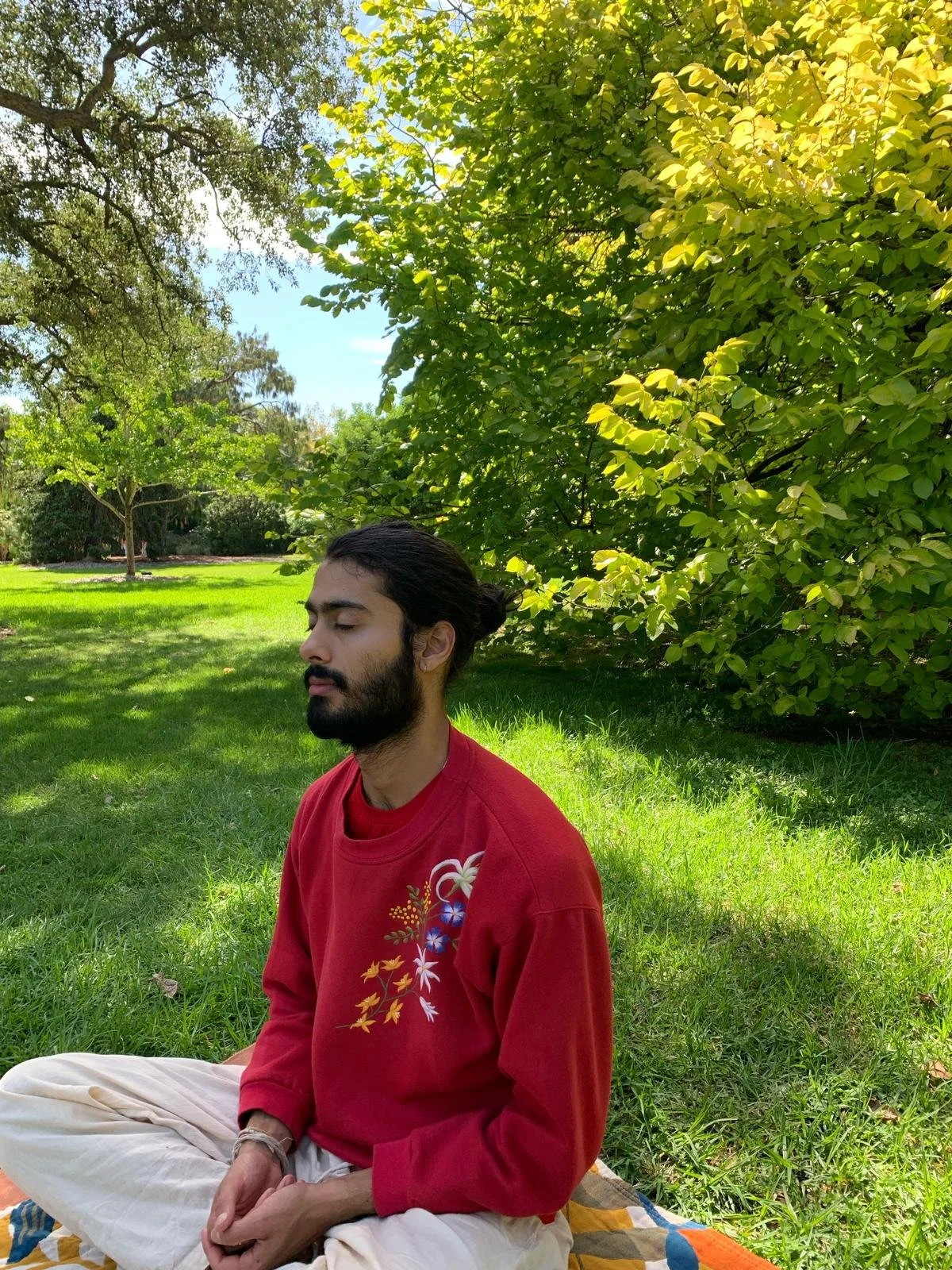 January Vedic Meditation Course with Jesse 