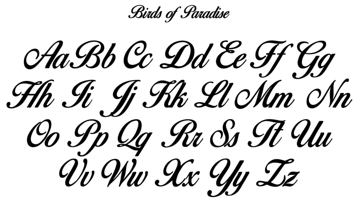 Screen%2BShot%2B2026-06-16%2Bat%2B3.04.04%2BPM.png