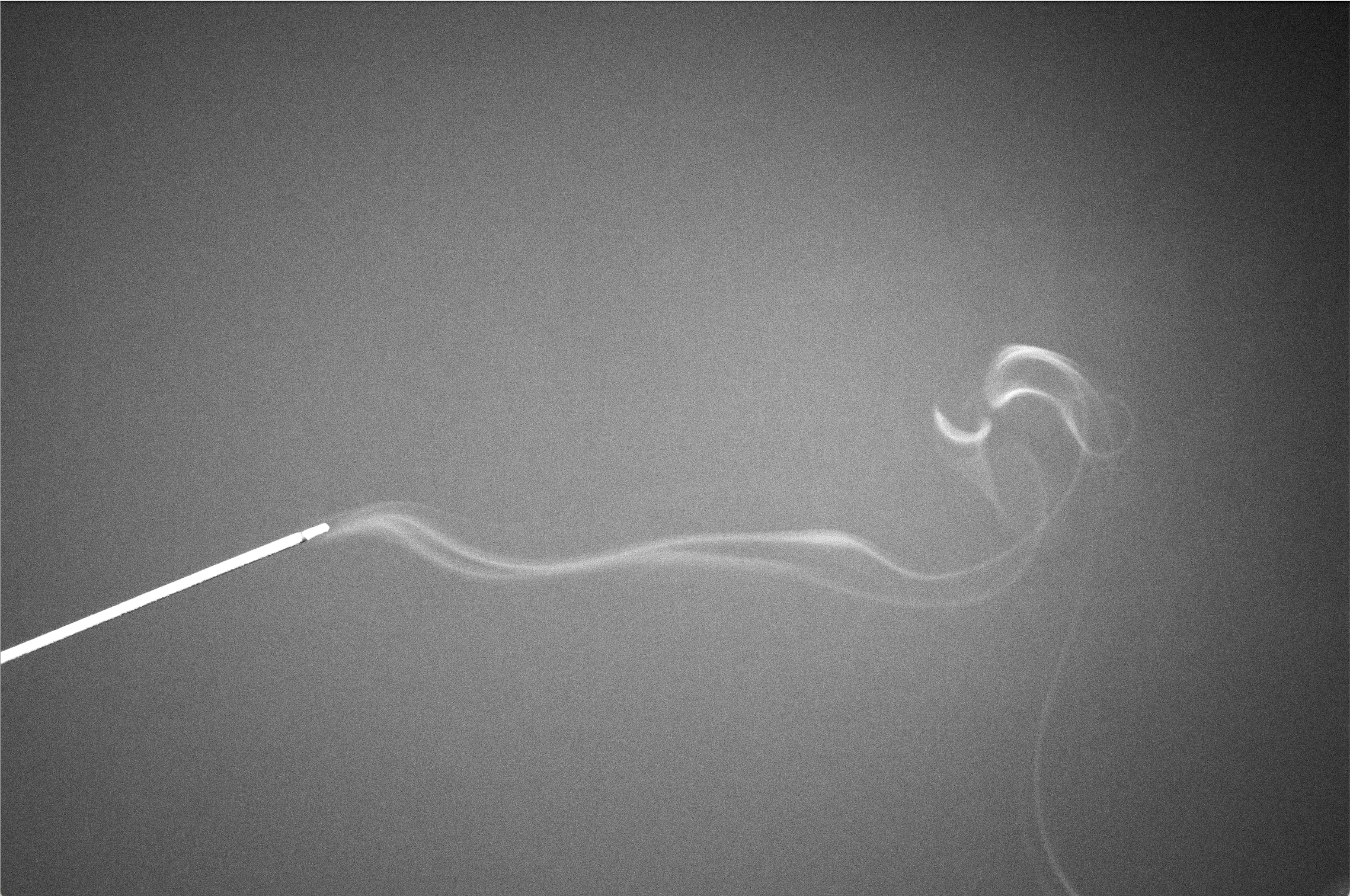 Screenshot 2024-09-24 at 11.42.17 AM.png