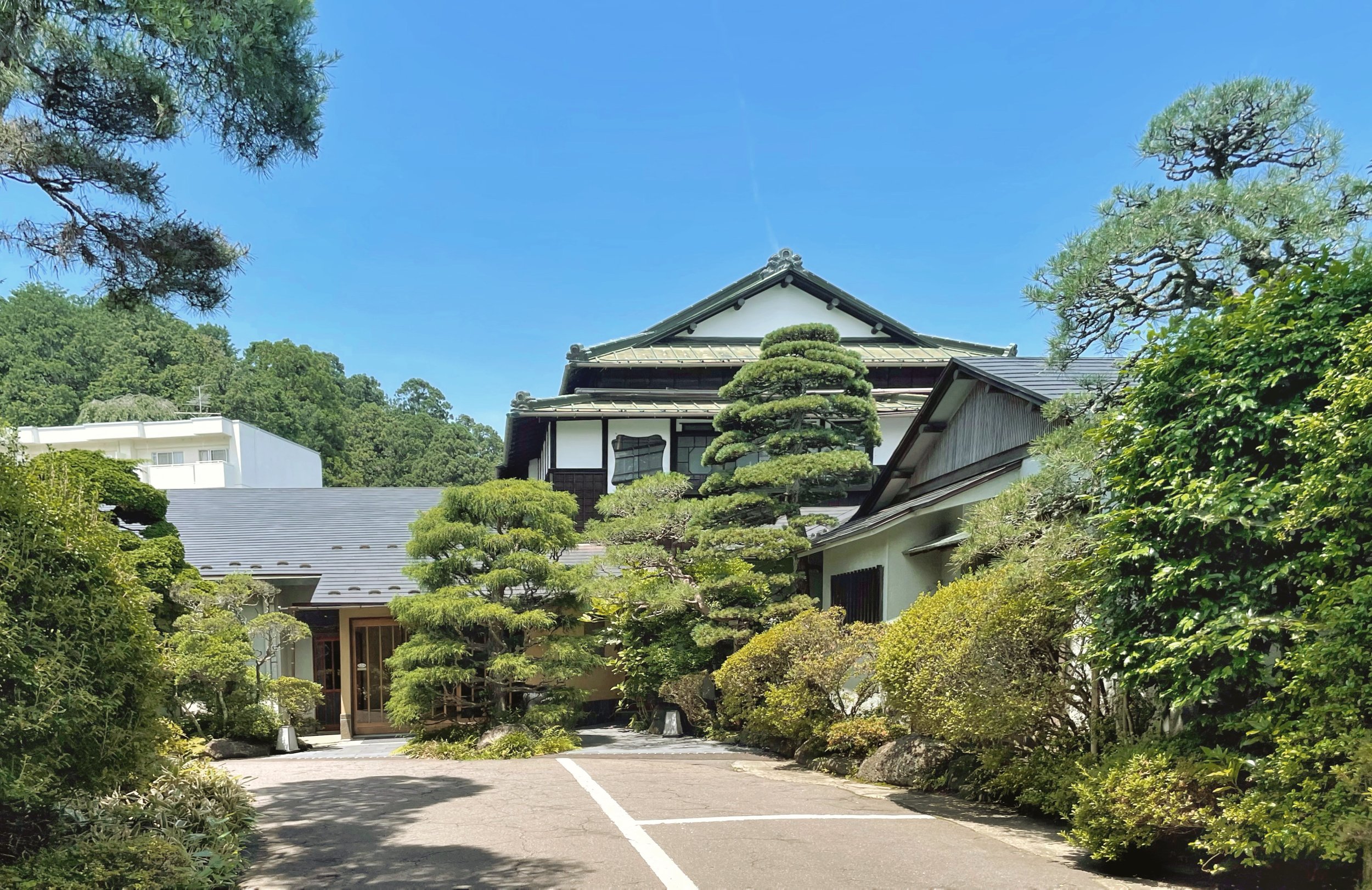 DF1F0892-04E3-44A3-A6C4-E9697EE879CE 2.jpg