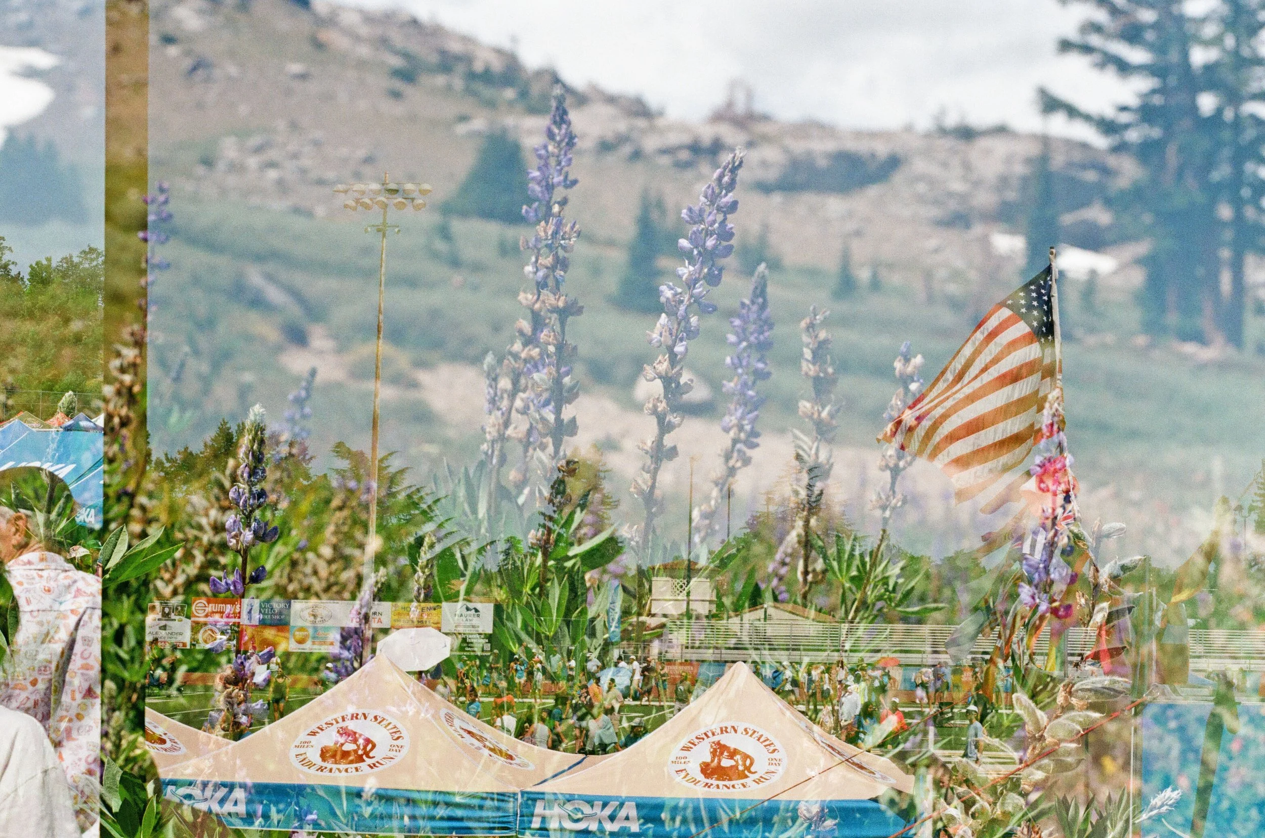 ws golden hour 3.jpeg