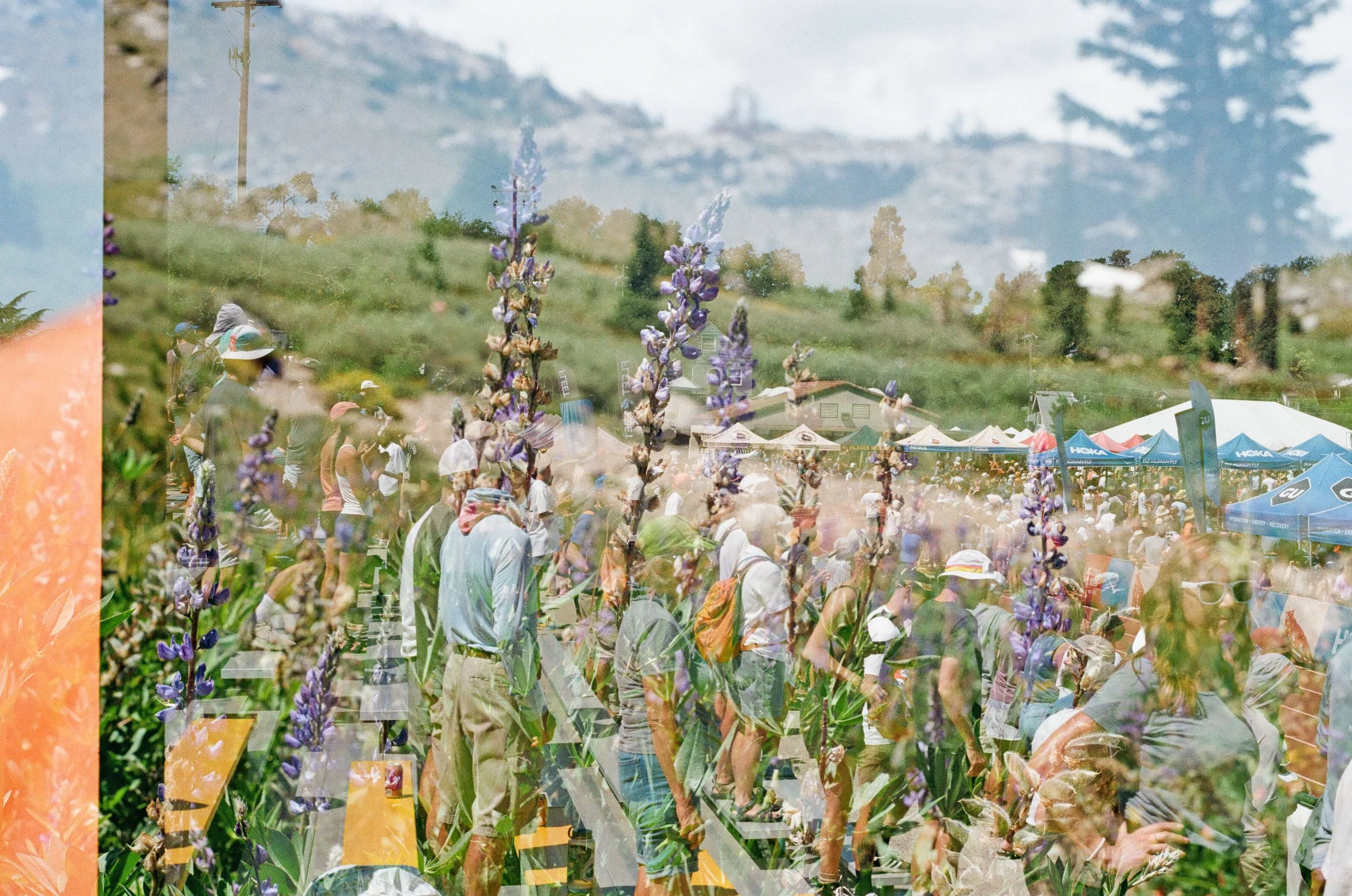 ws golden hour 2.jpeg