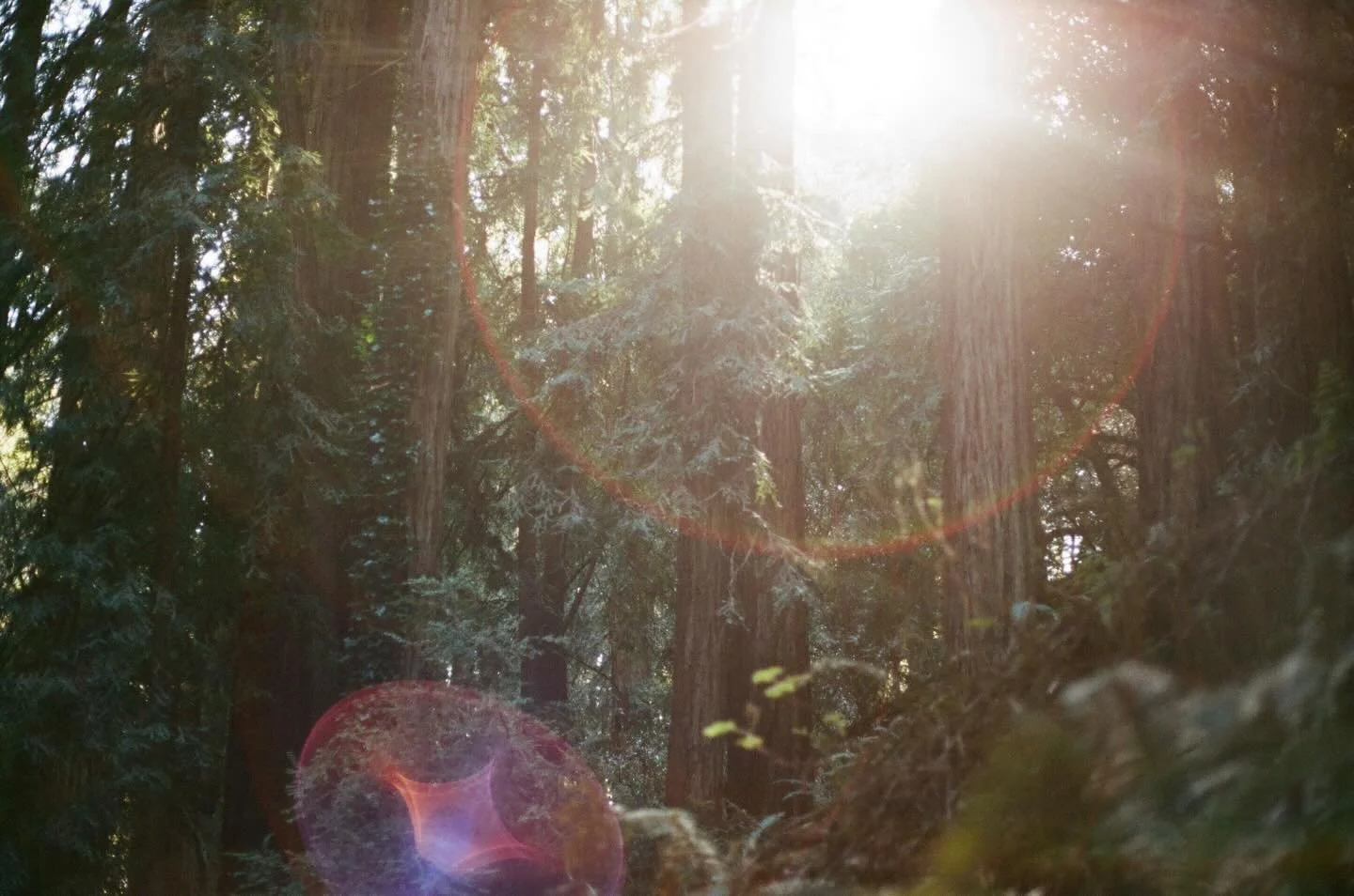 New Substack post on the construct of time (re: my mixing of tenses when I write), mindfulness, and what Mt. Tam might be thinking. 

&ldquo;My first thought was, I wonder what Mt. Tam thinks about in the morning when she wakes up. Surely she isn&rsq