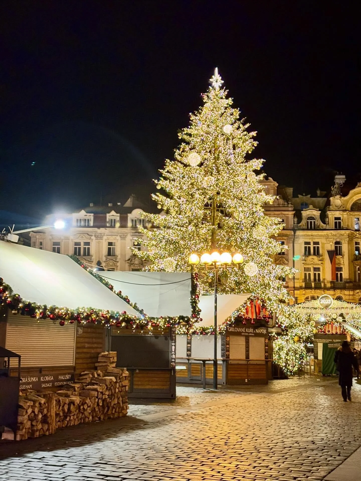 Christmas in Prague 🤎. 

Stella Interiors wishes you and yours a safe and prosperous new year 🎄