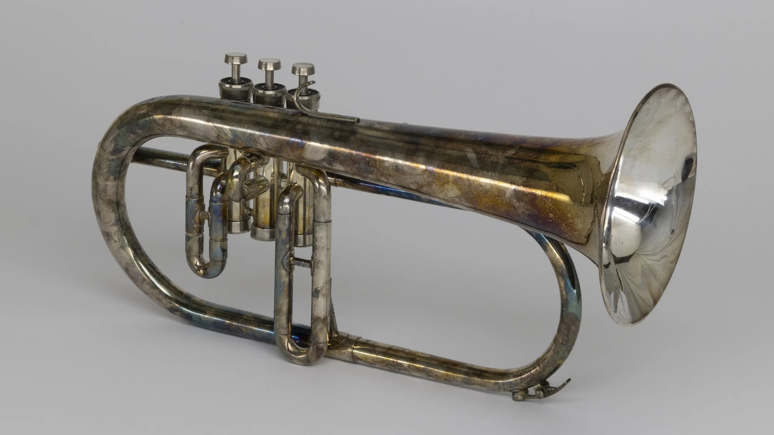 Schenkelaars Flugelhorn