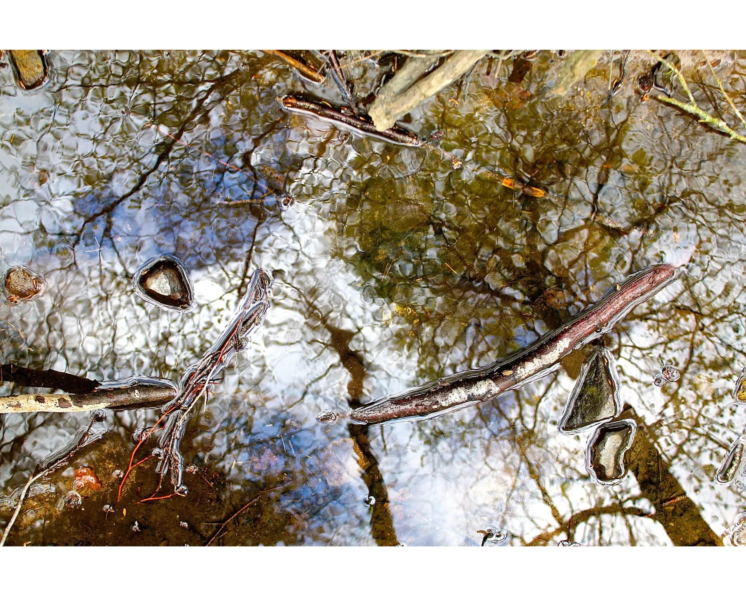 WINTER REFLECTING IN A STREAM