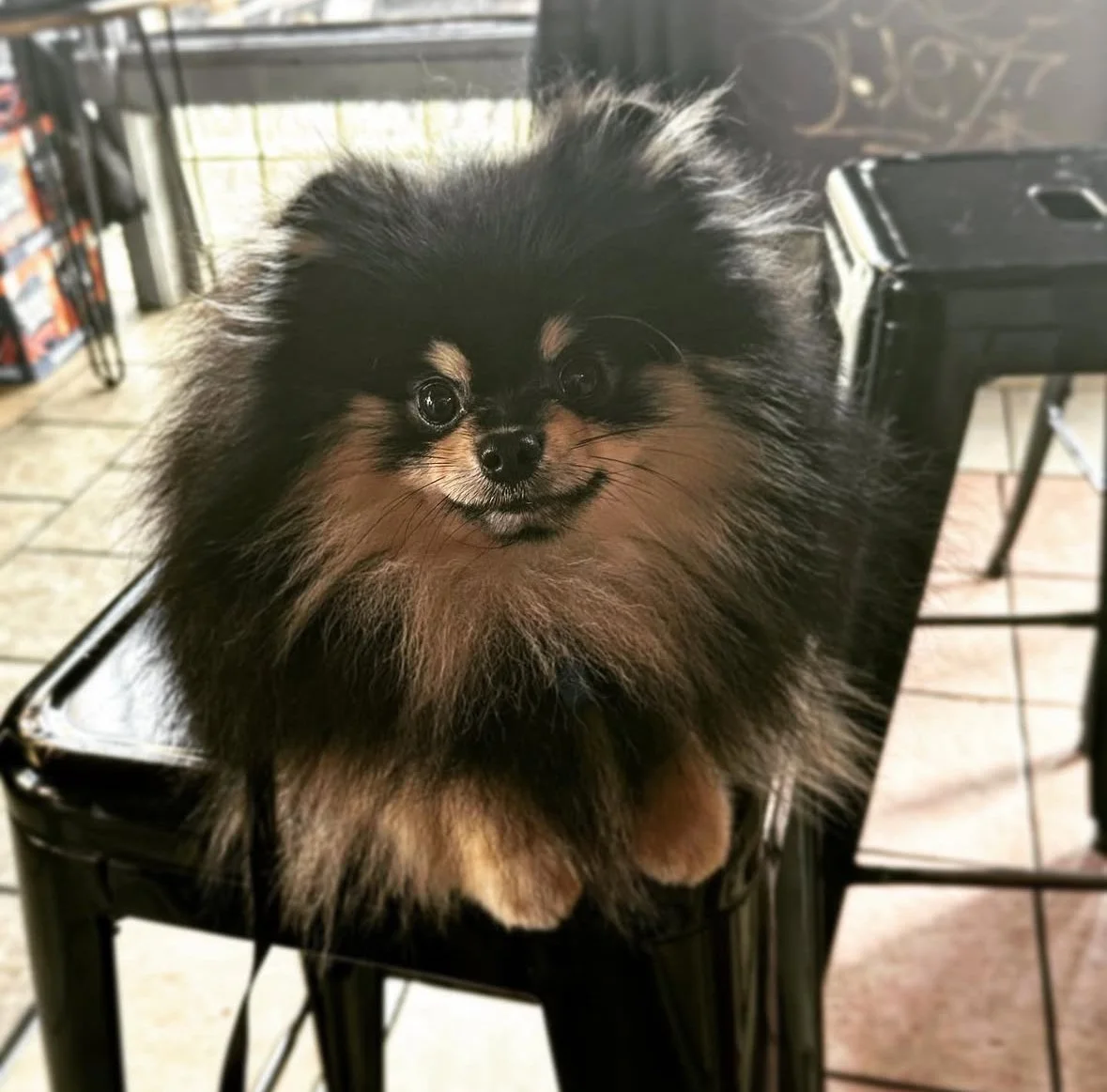 hangin out at the beer garden!