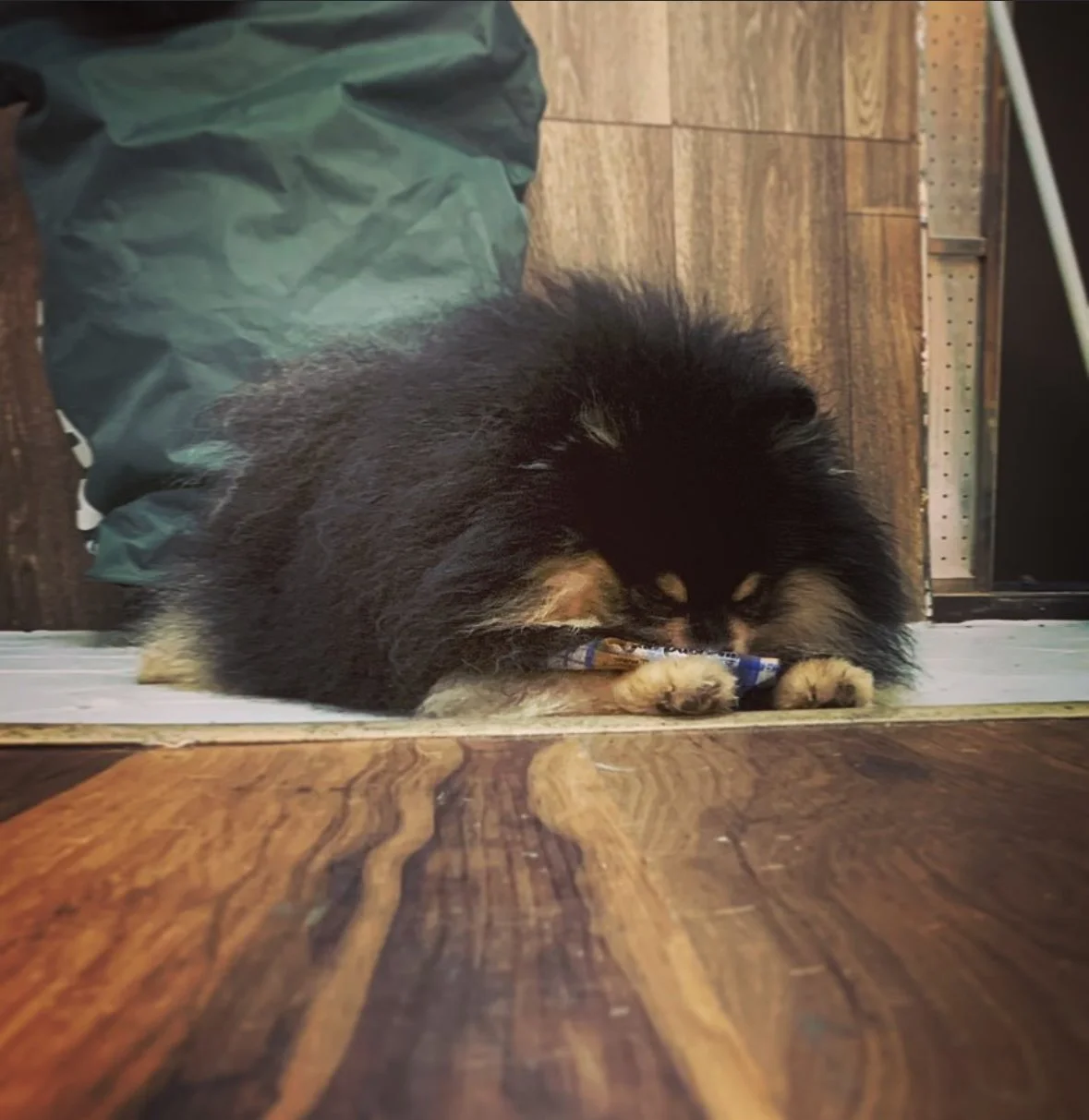 sleepin at the shop