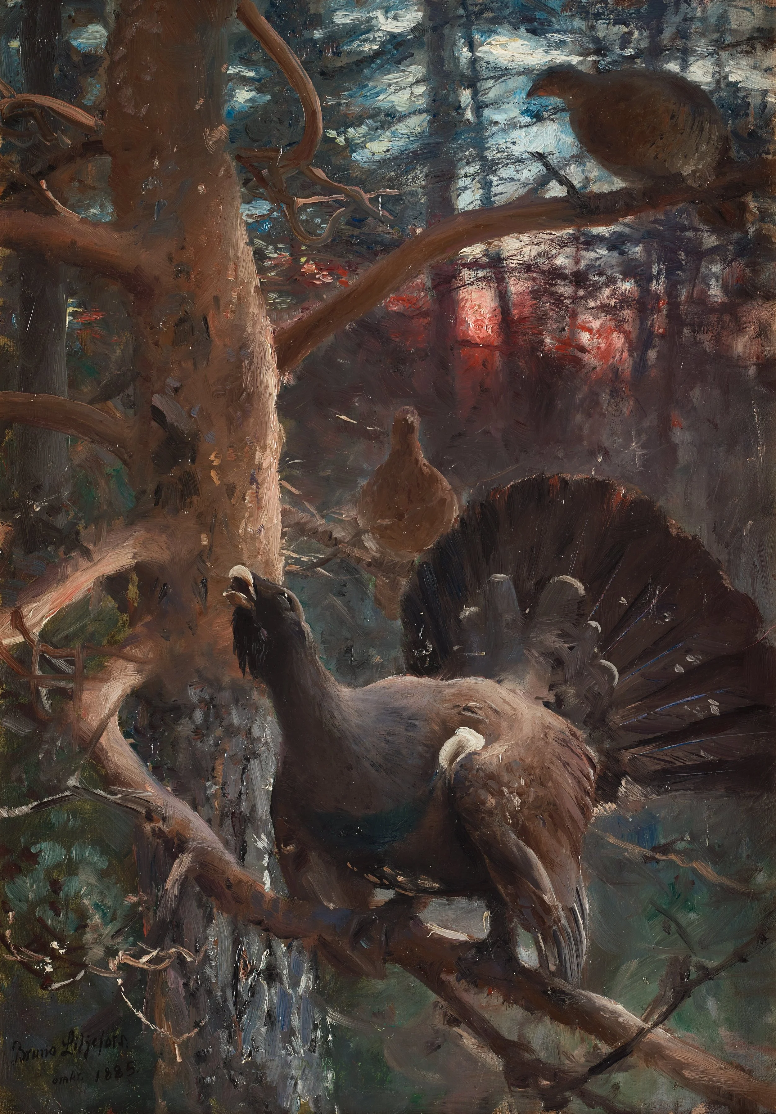Bruno_Liljefors_-_Tjäderlek_1885.jpg