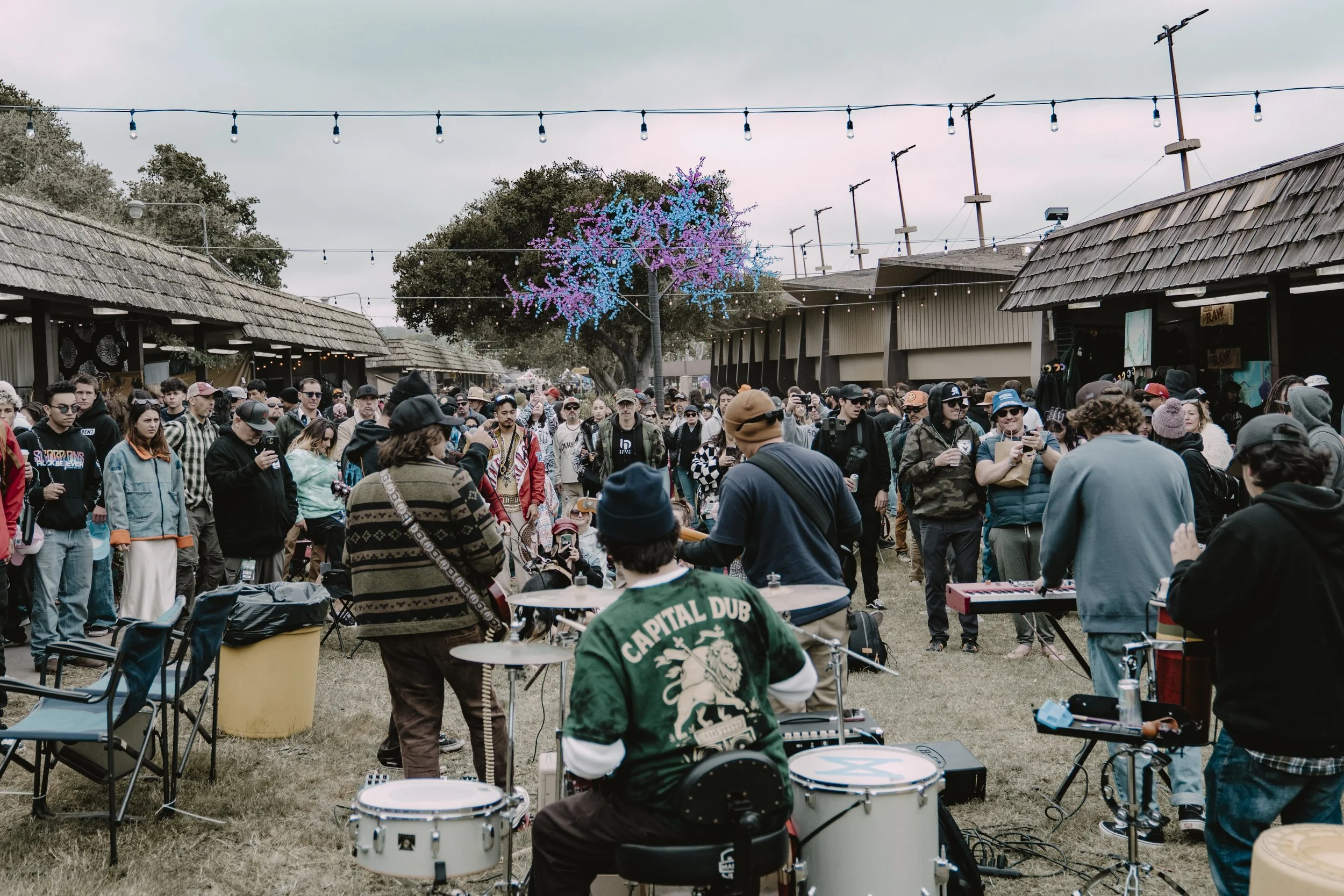 CaliRoots25_Sat_CapitalDub_@raeannesphotos-02914.jpg