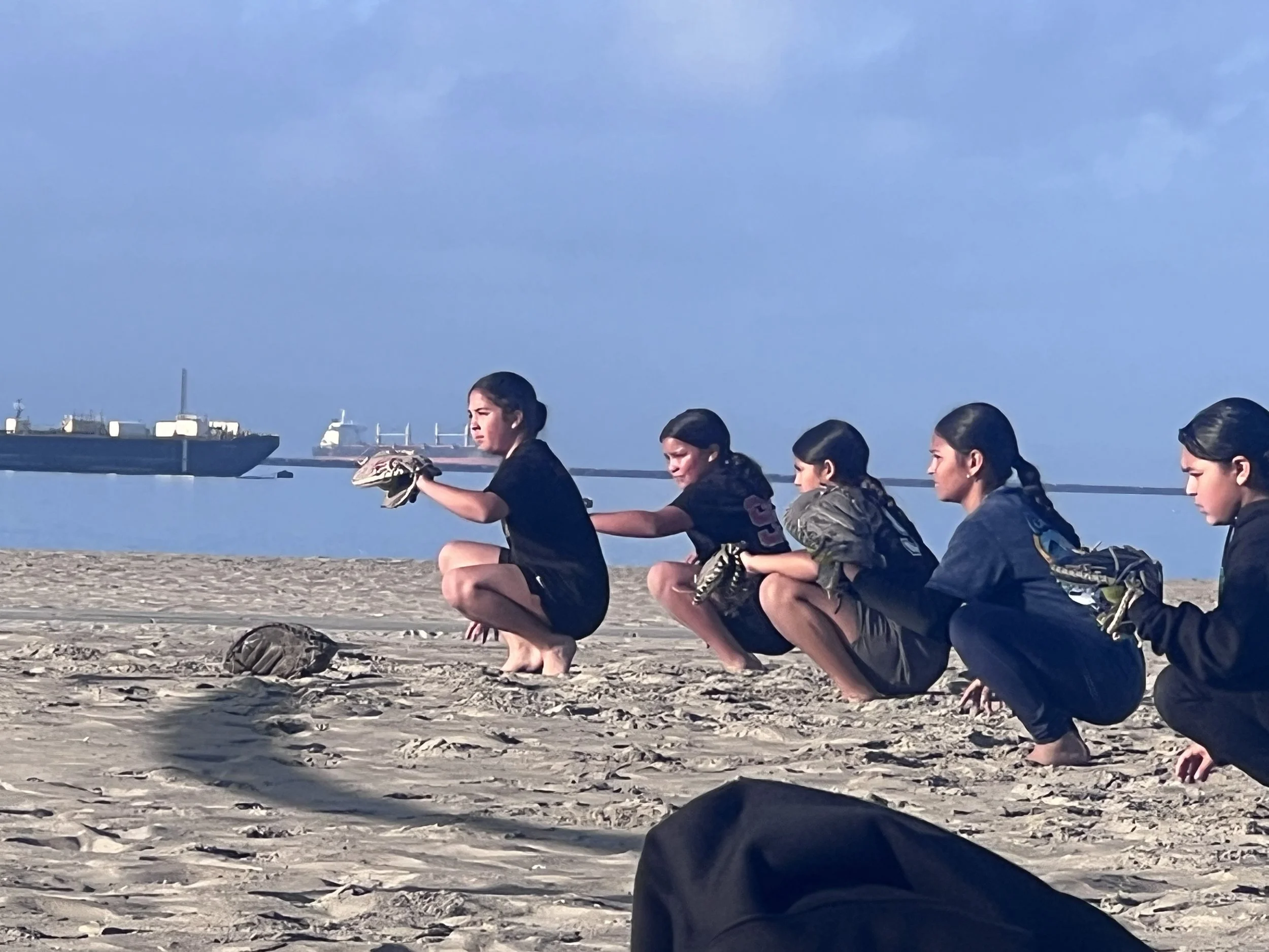 A group of women squatting on sandy beach, holding baseball gloves, with ships in the water and a cloudy sky in the background.