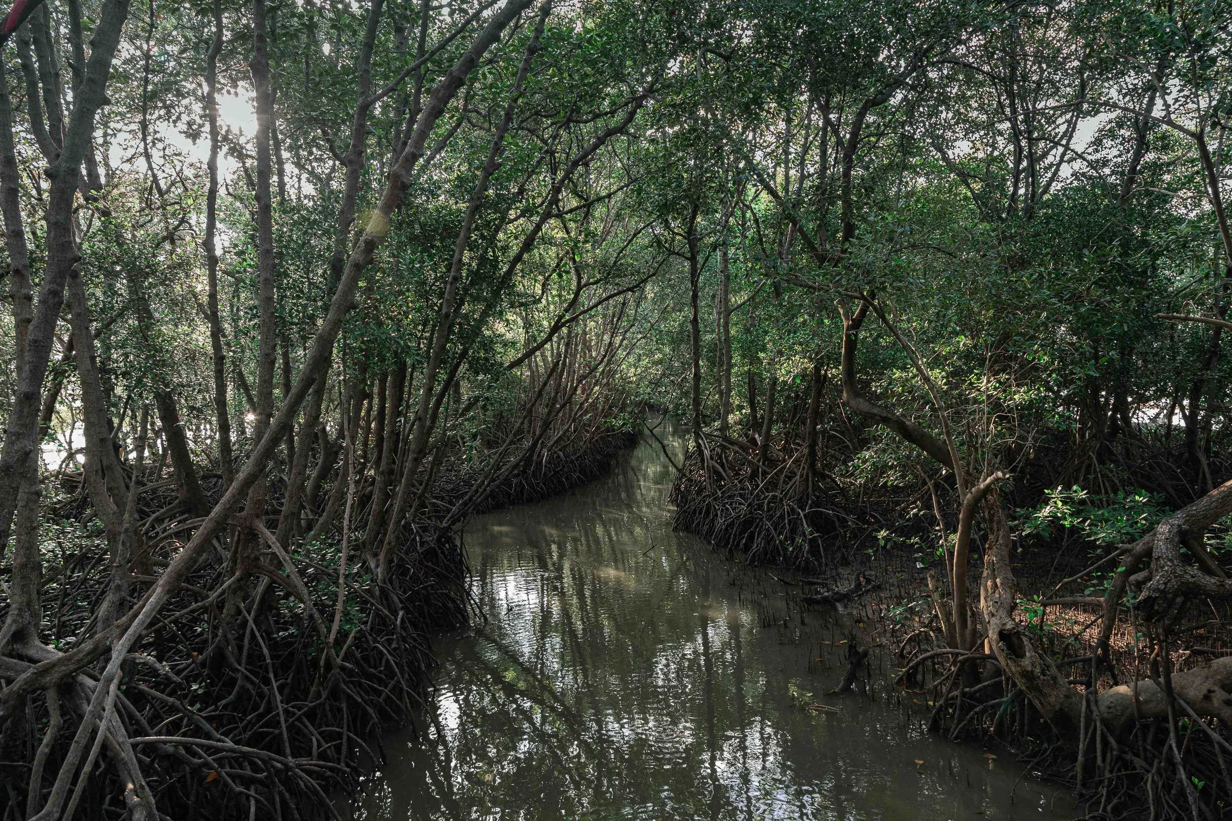 Long term project on climate change issues, environmental storytelling by Indonesia documentary photographer.