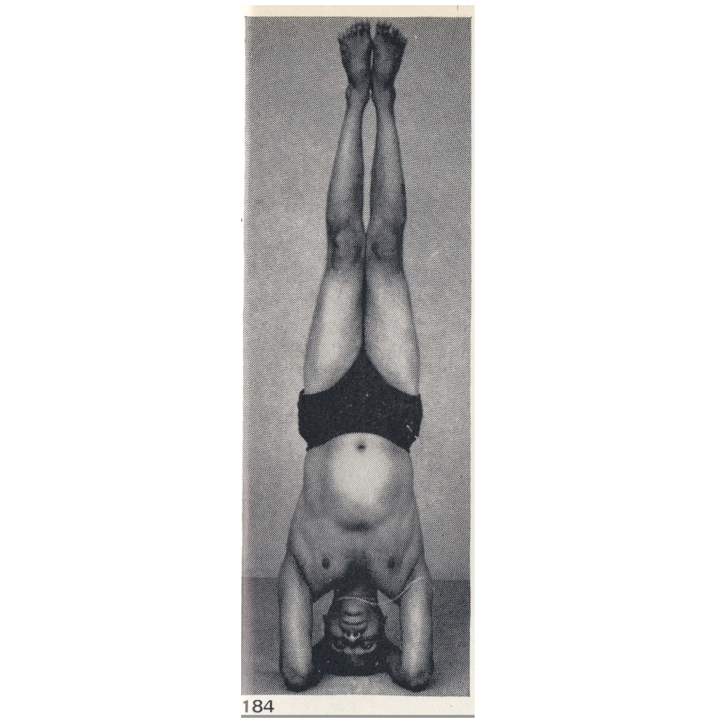 Why Inversions Matter: The Daily Power of Sirsasana and Sarvangasana in Iyengar Yoga