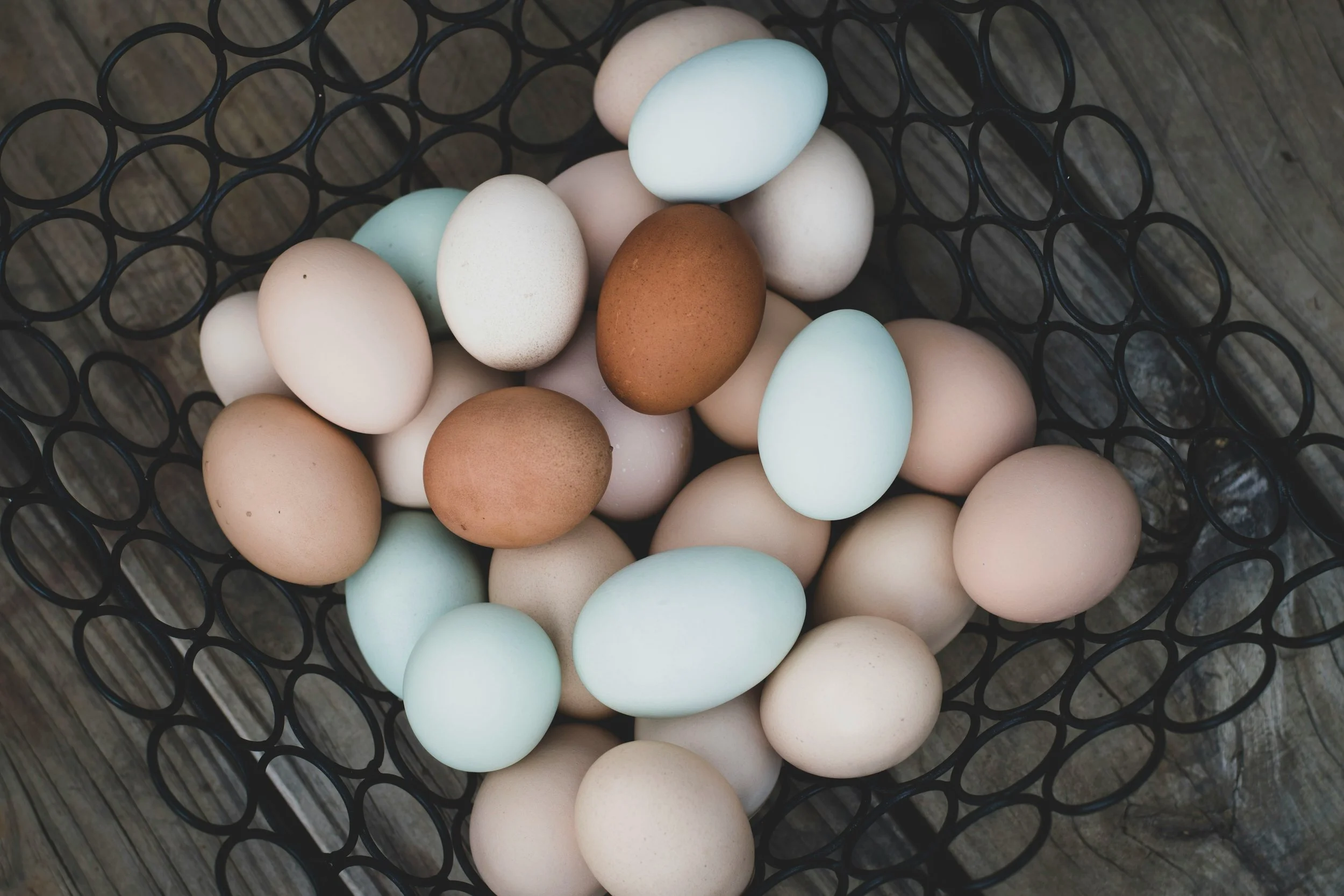 Fresh Eggs.jpg