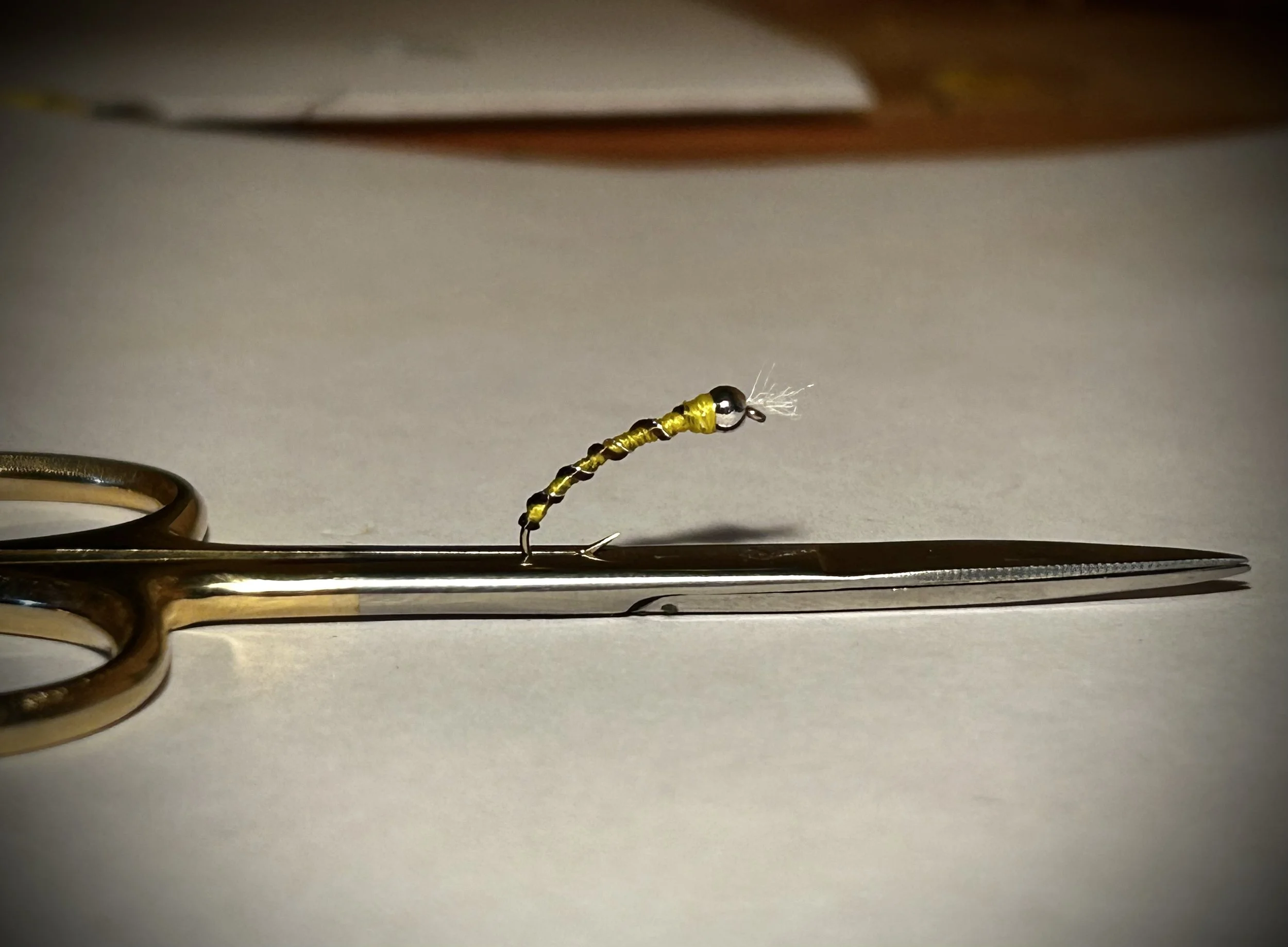 Rotten Banana chironomid