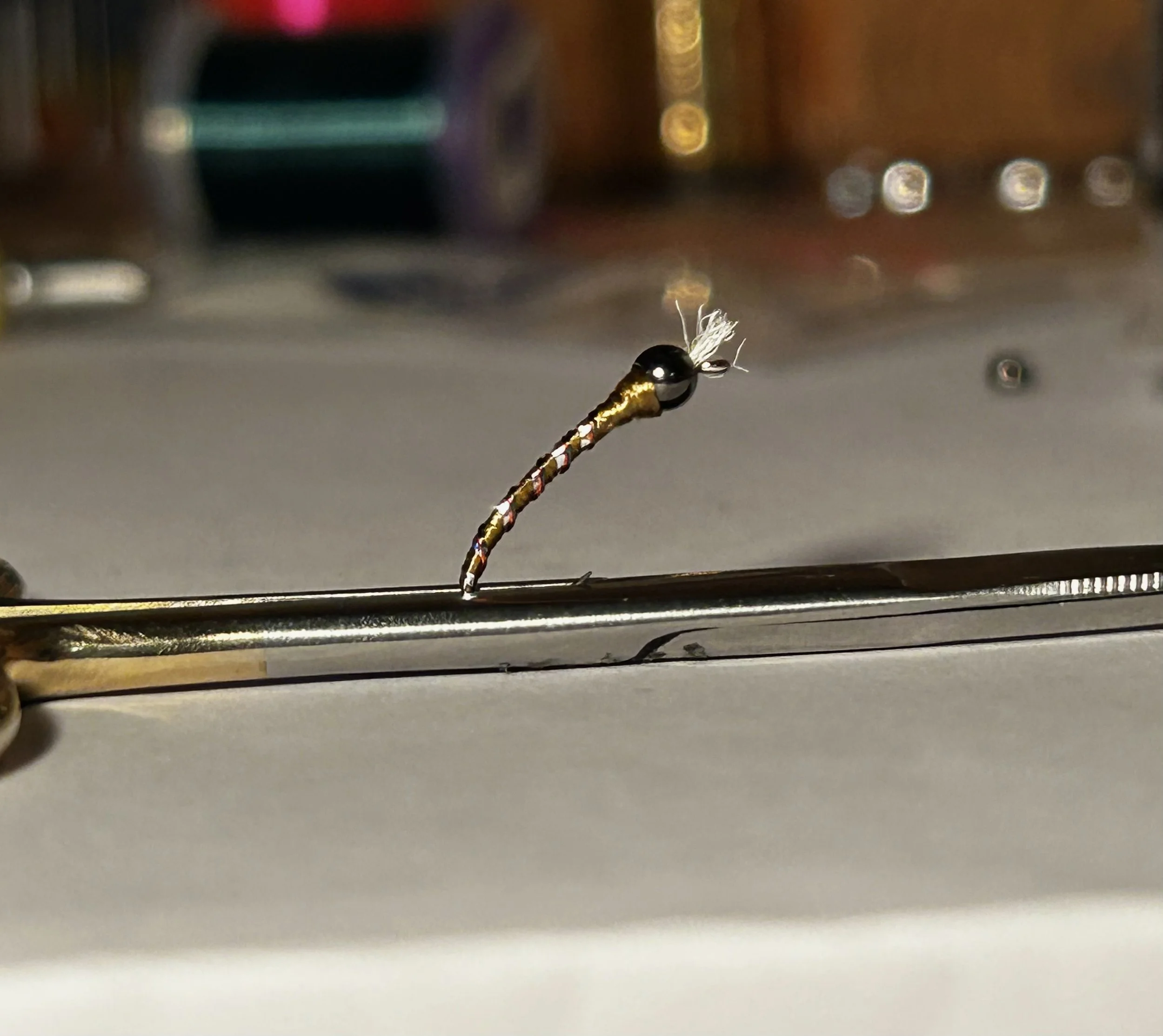 Wood duck chrome Chironomid